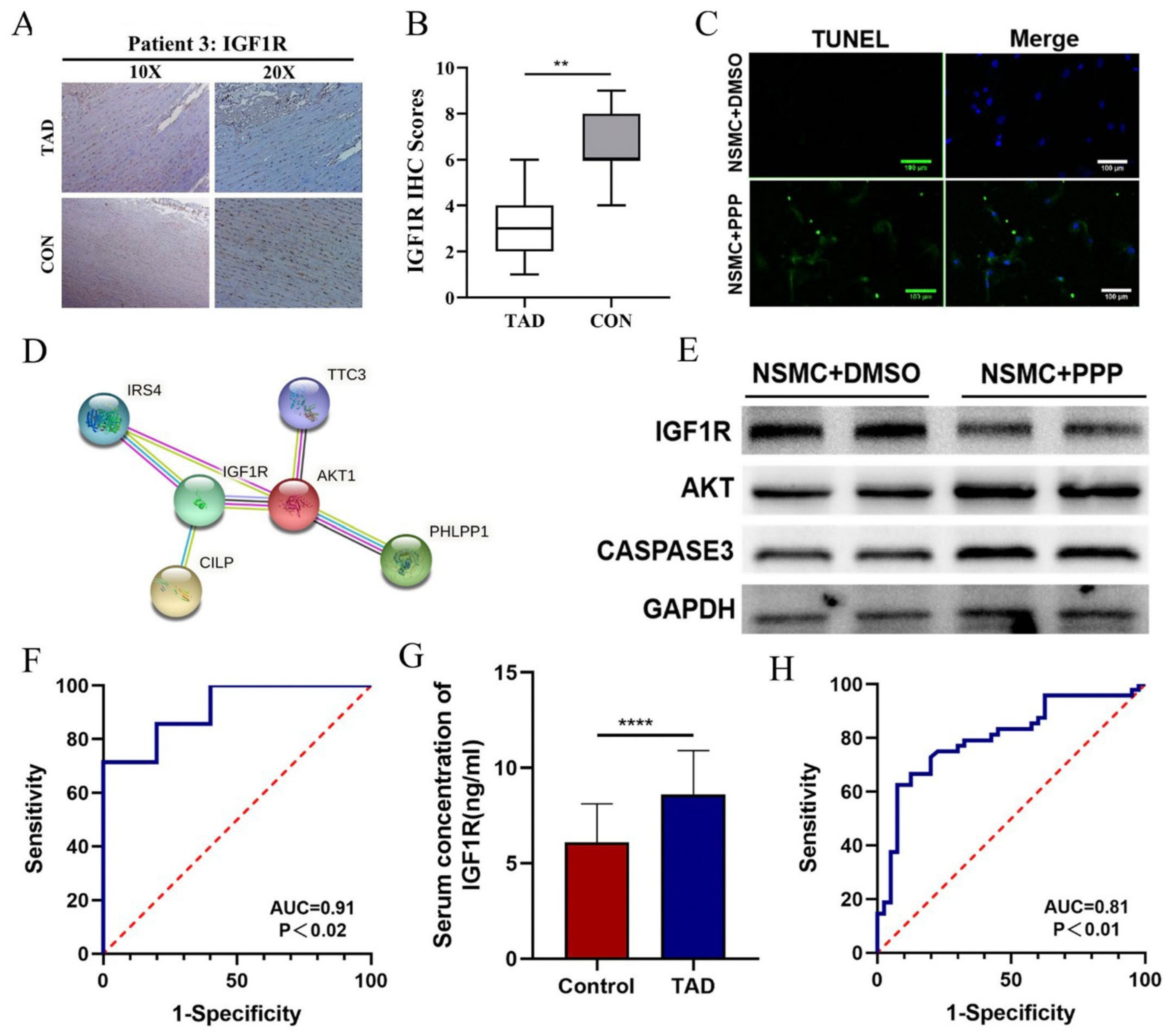 Biomedicines 11 00571 g007 Biomedicines 11 00571 g007