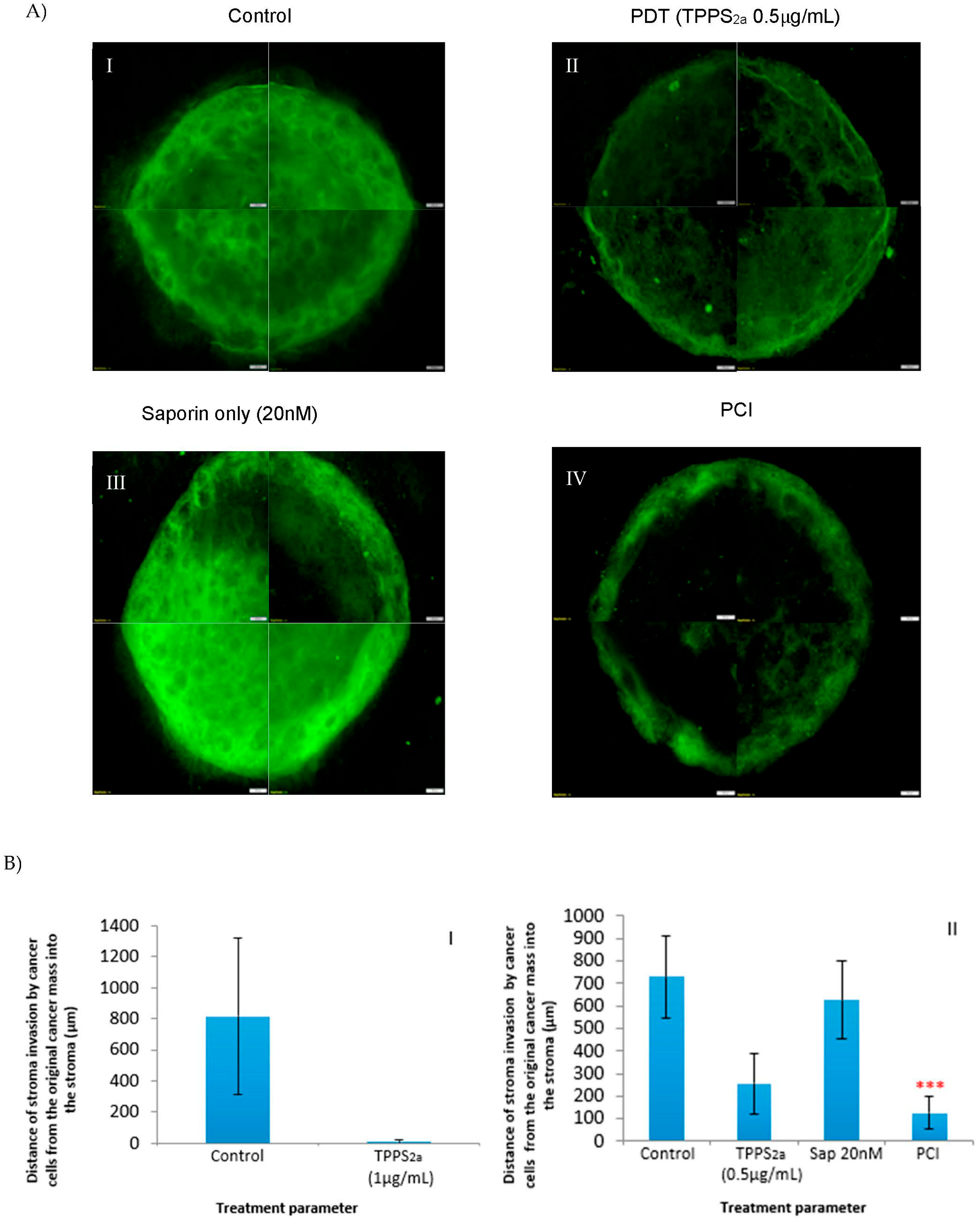 Biomedicines 11 00572 g005