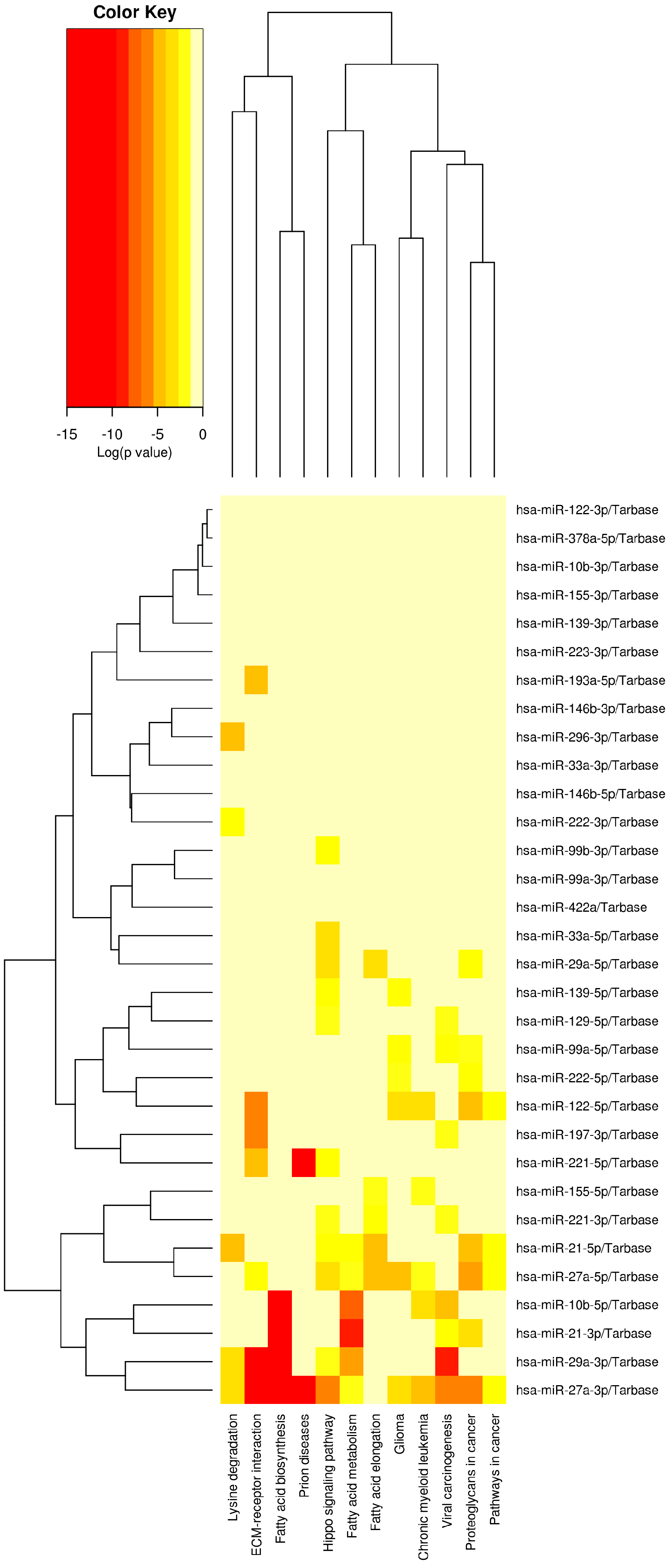 Biomedicines 11 00574 g002 Biomedicines 11 00574 g002