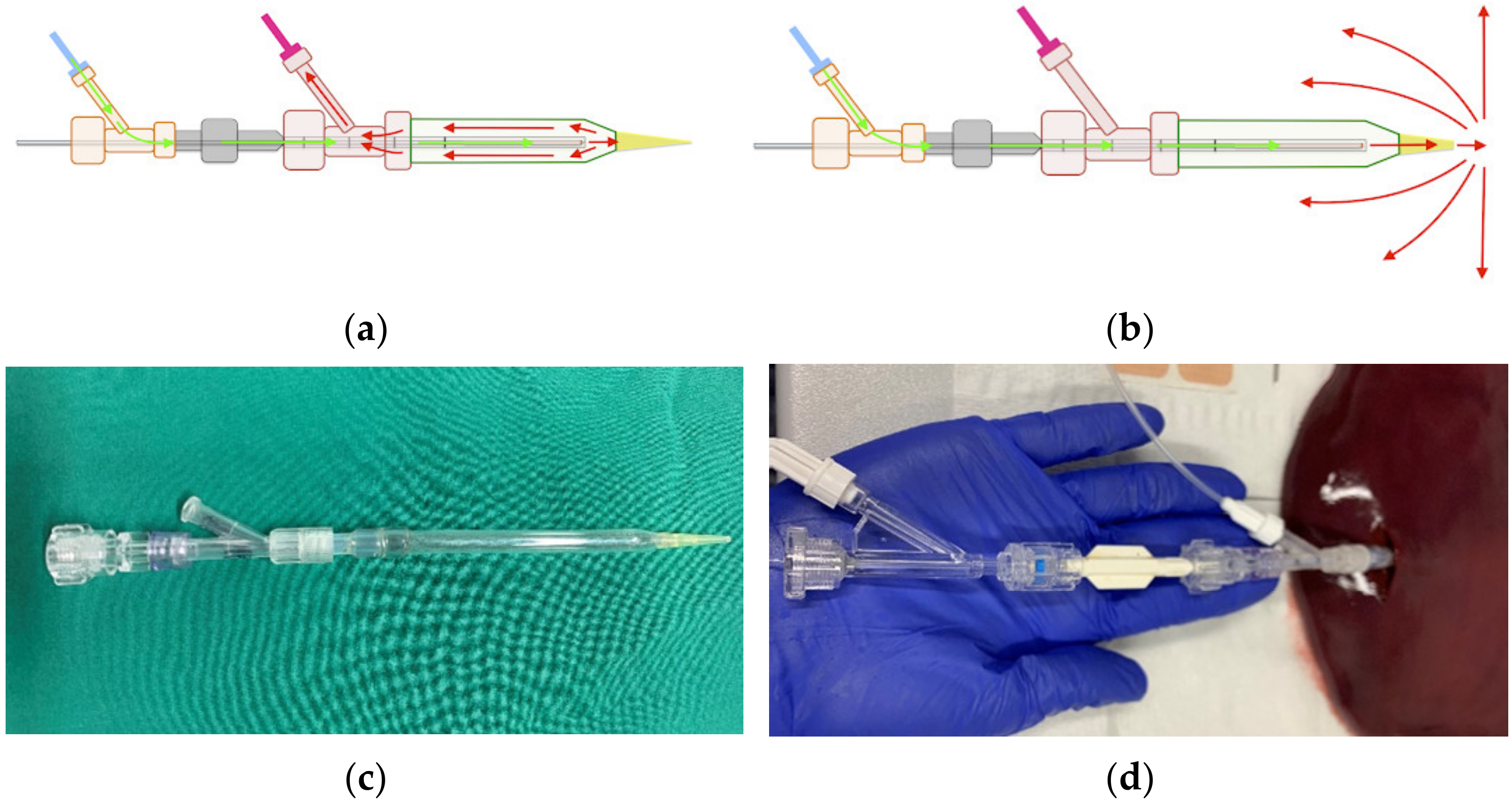 Biomedicines 11 00575 g001