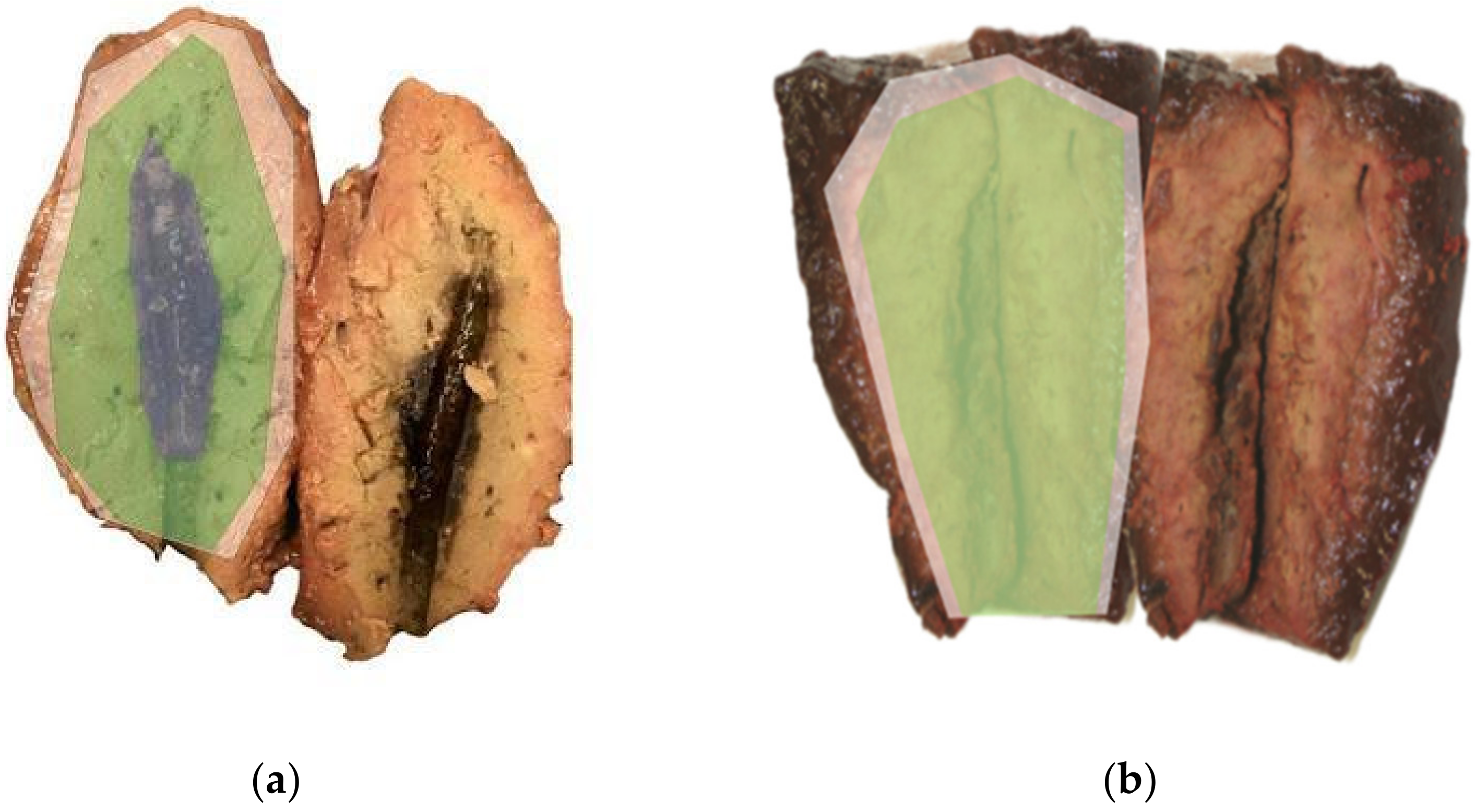 Biomedicines 11 00575 g002