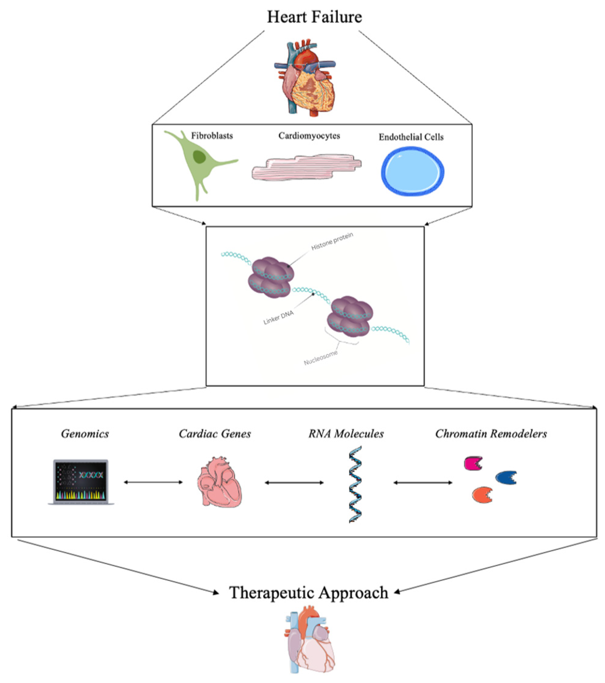 Biomedicines 11 00579 g001