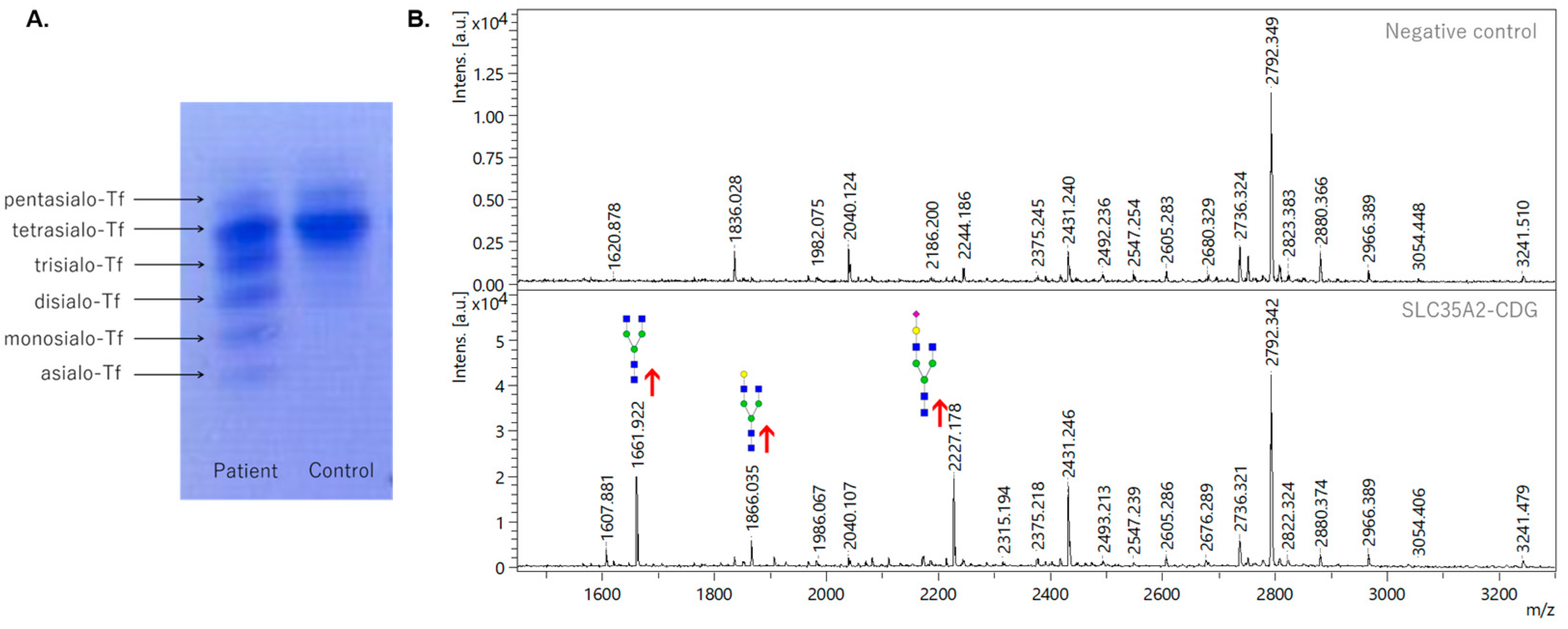 Biomedicines 11 00580 g001 Biomedicines 11 00580 g001