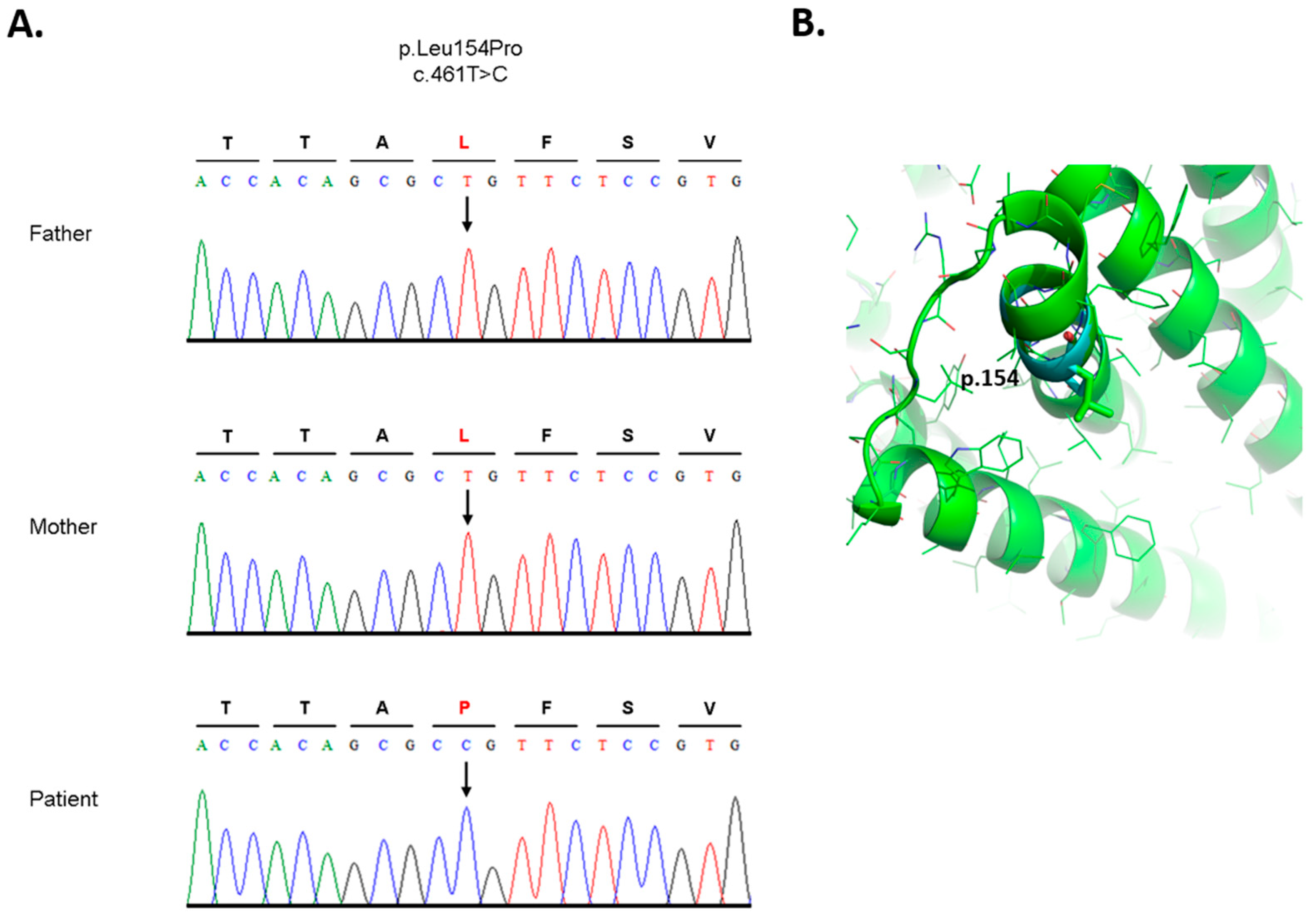 Biomedicines 11 00580 g003 Biomedicines 11 00580 g003