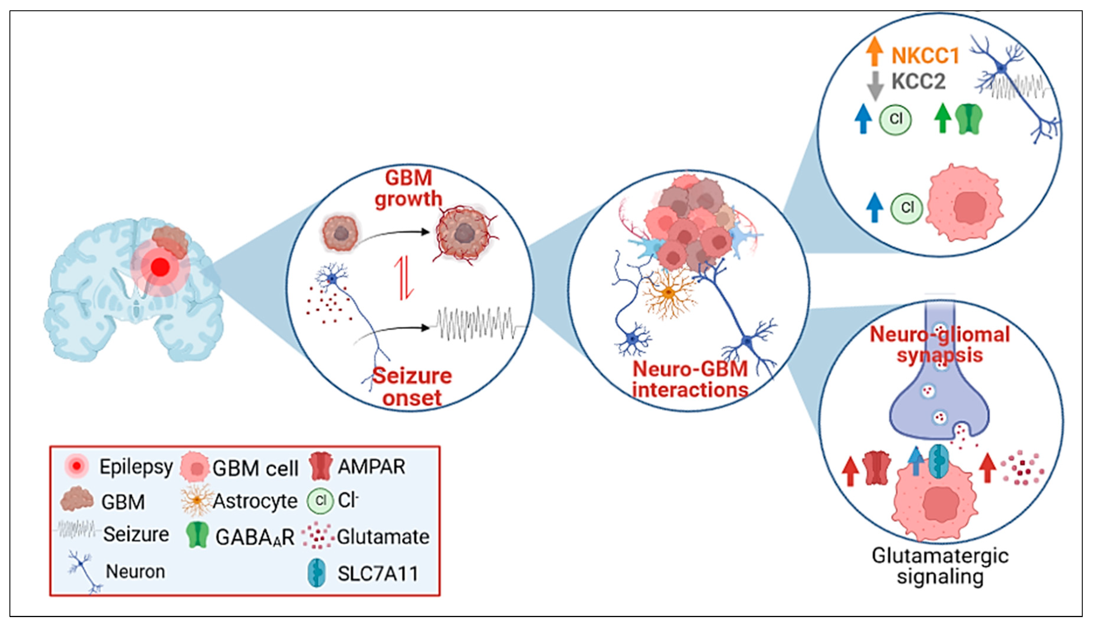 Biomedicines 11 00582 g001 Biomedicines 11 00582 g001