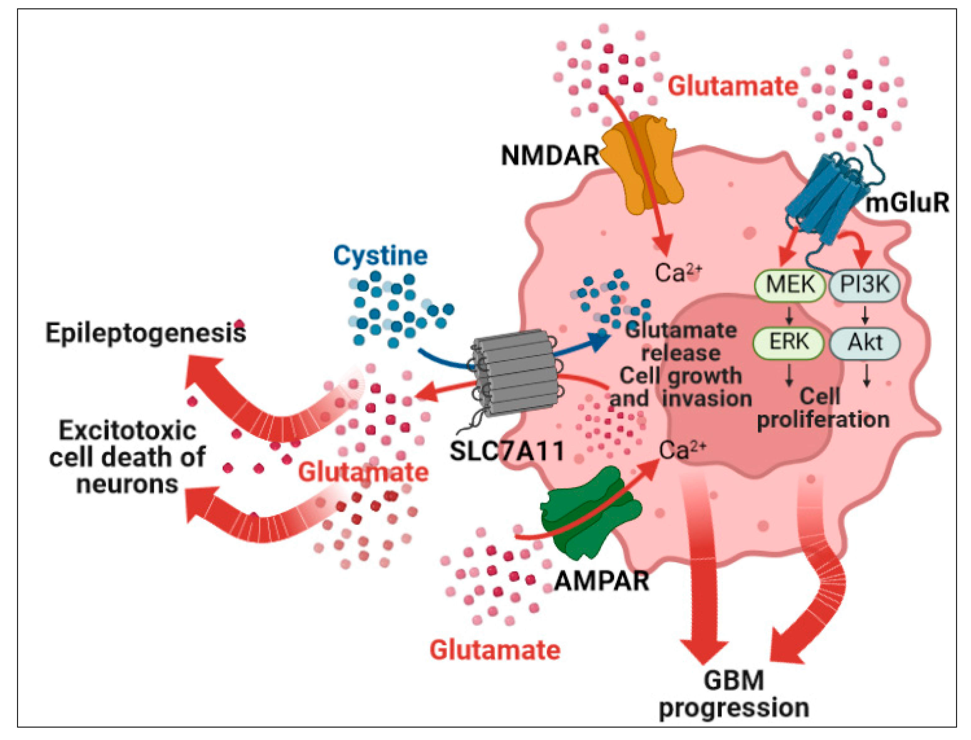 Biomedicines 11 00582 g002 Biomedicines 11 00582 g002
