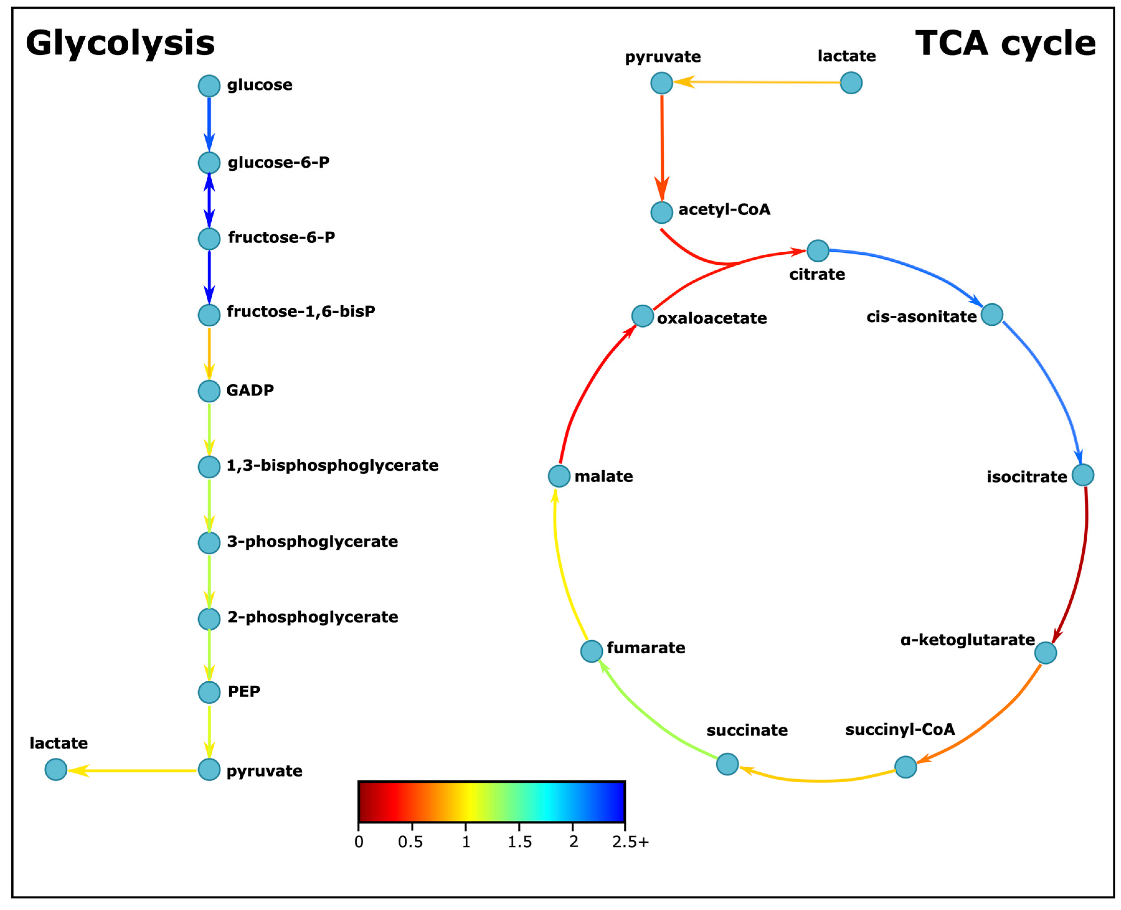 Biomedicines 11 00583 g003 Biomedicines 11 00583 g003