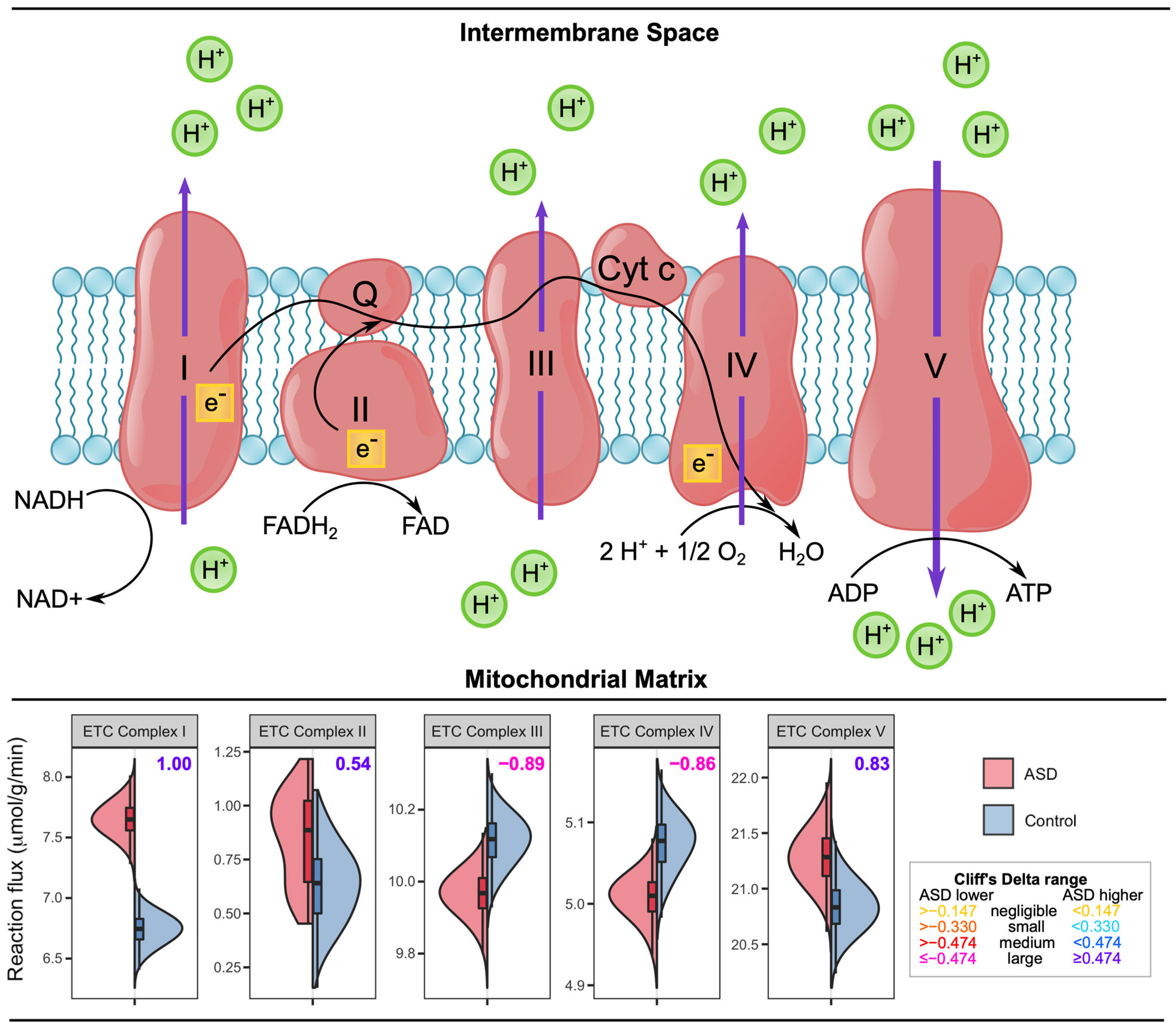 Biomedicines 11 00583 g005 Biomedicines 11 00583 g005