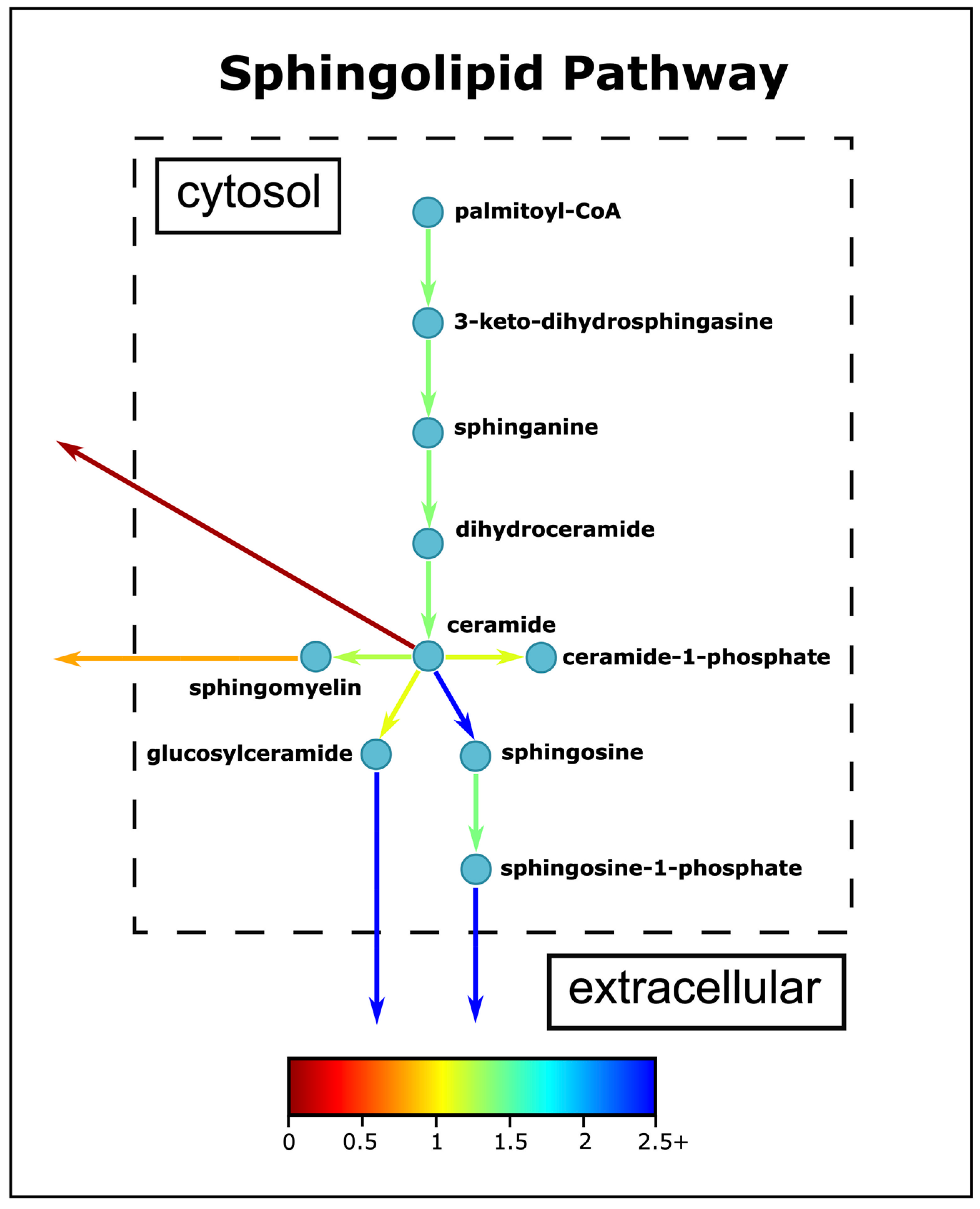 Biomedicines 11 00583 g007 Biomedicines 11 00583 g007