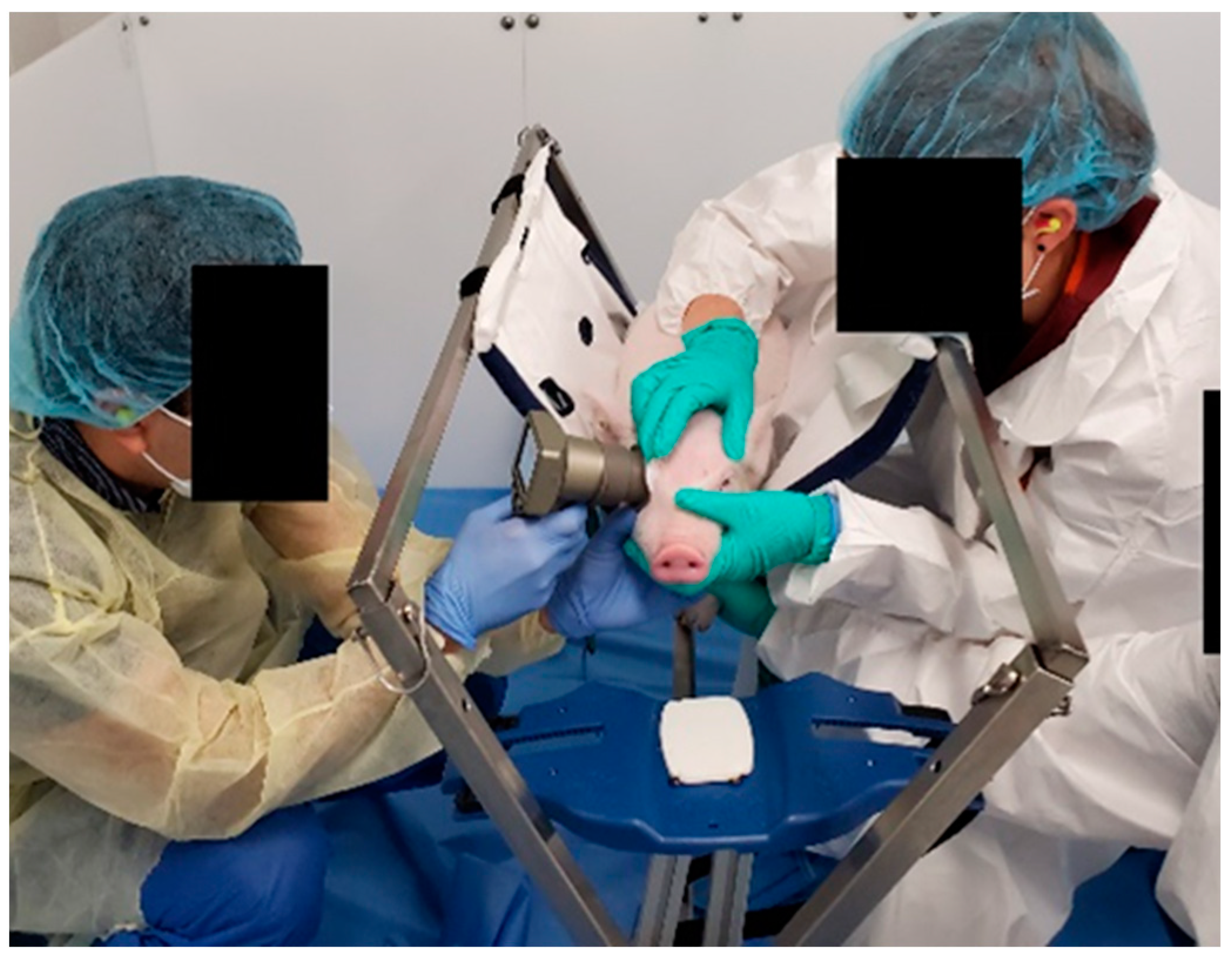 Biomedicines 11 00587 g002