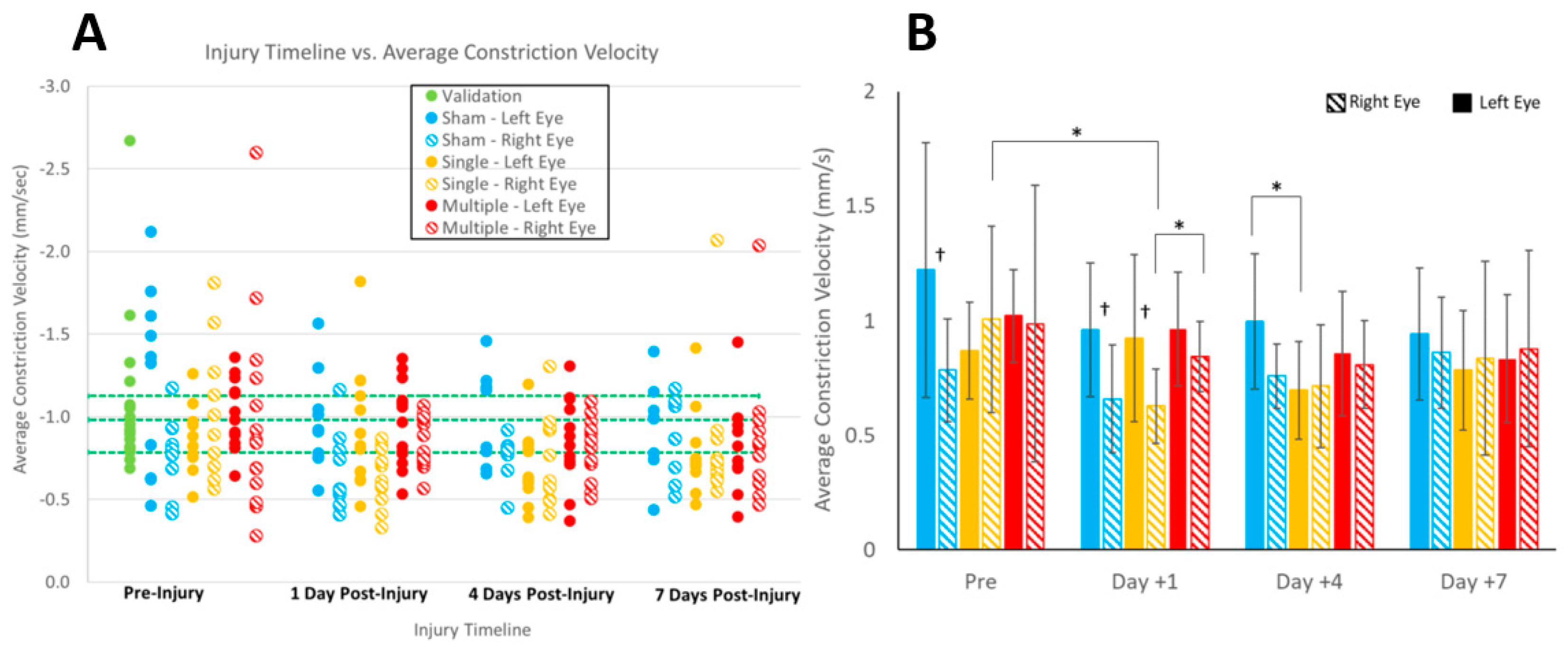 Biomedicines 11 00587 g004