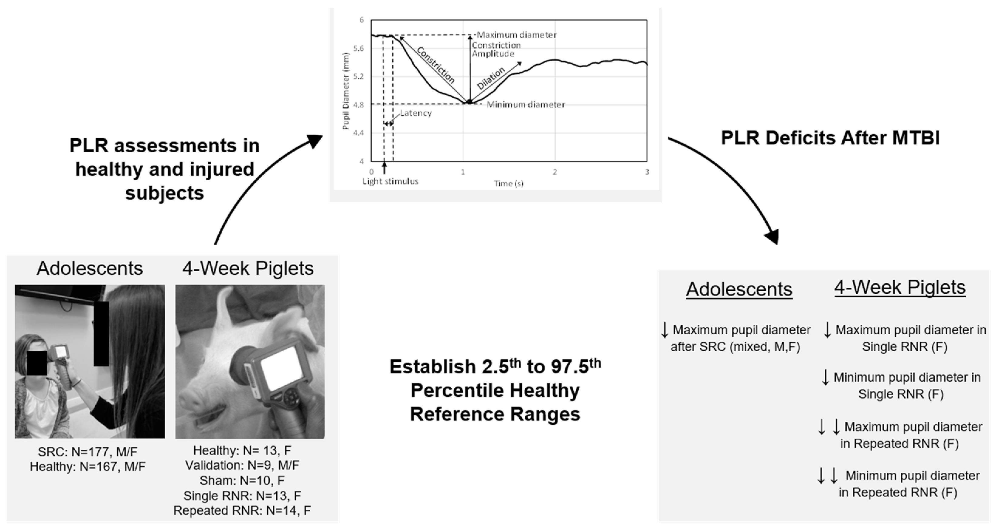 Biomedicines 11 00587 g005