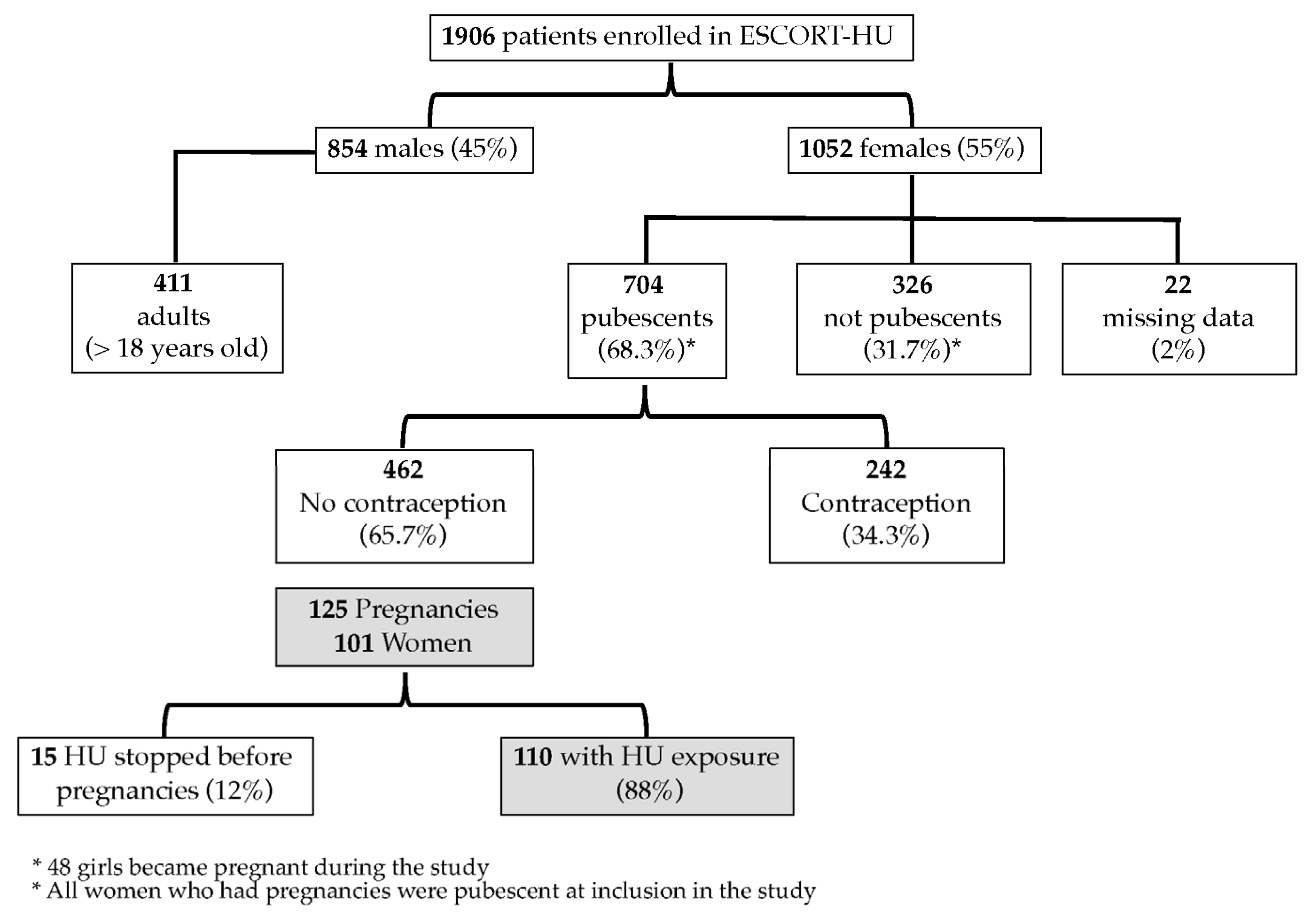 Biomedicines 11 00597 g001