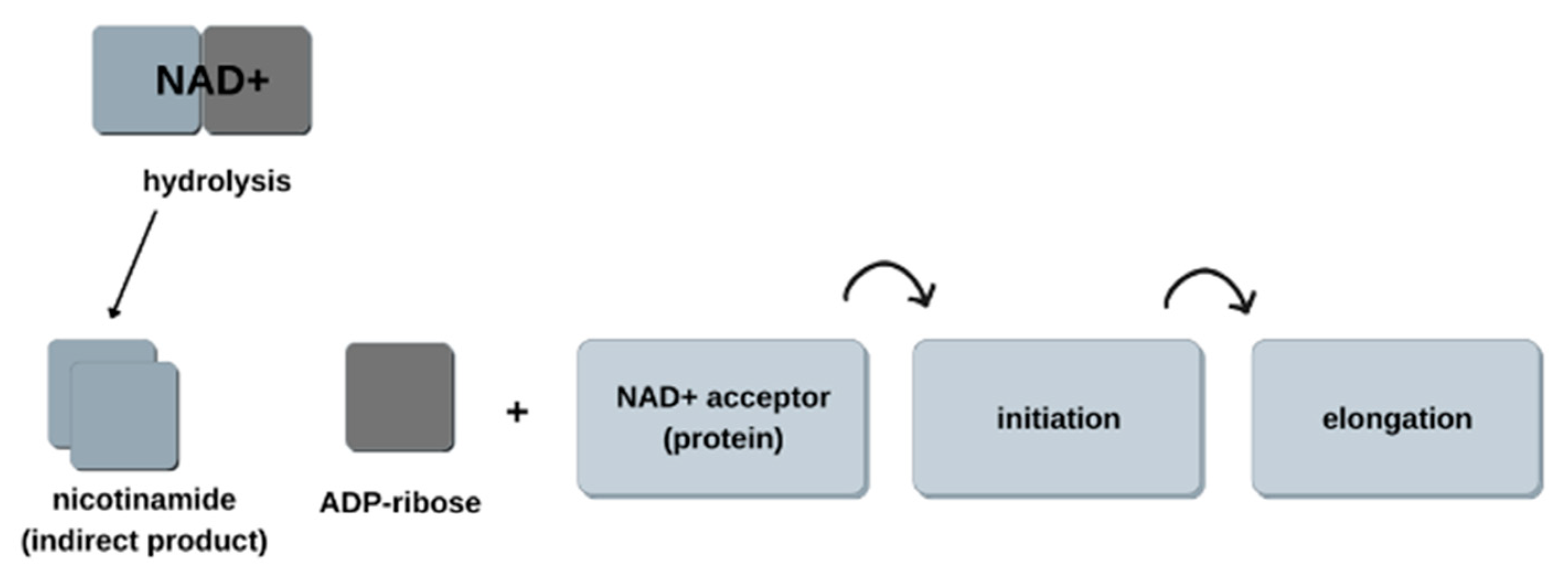 Biomedicines 11 00602 g002