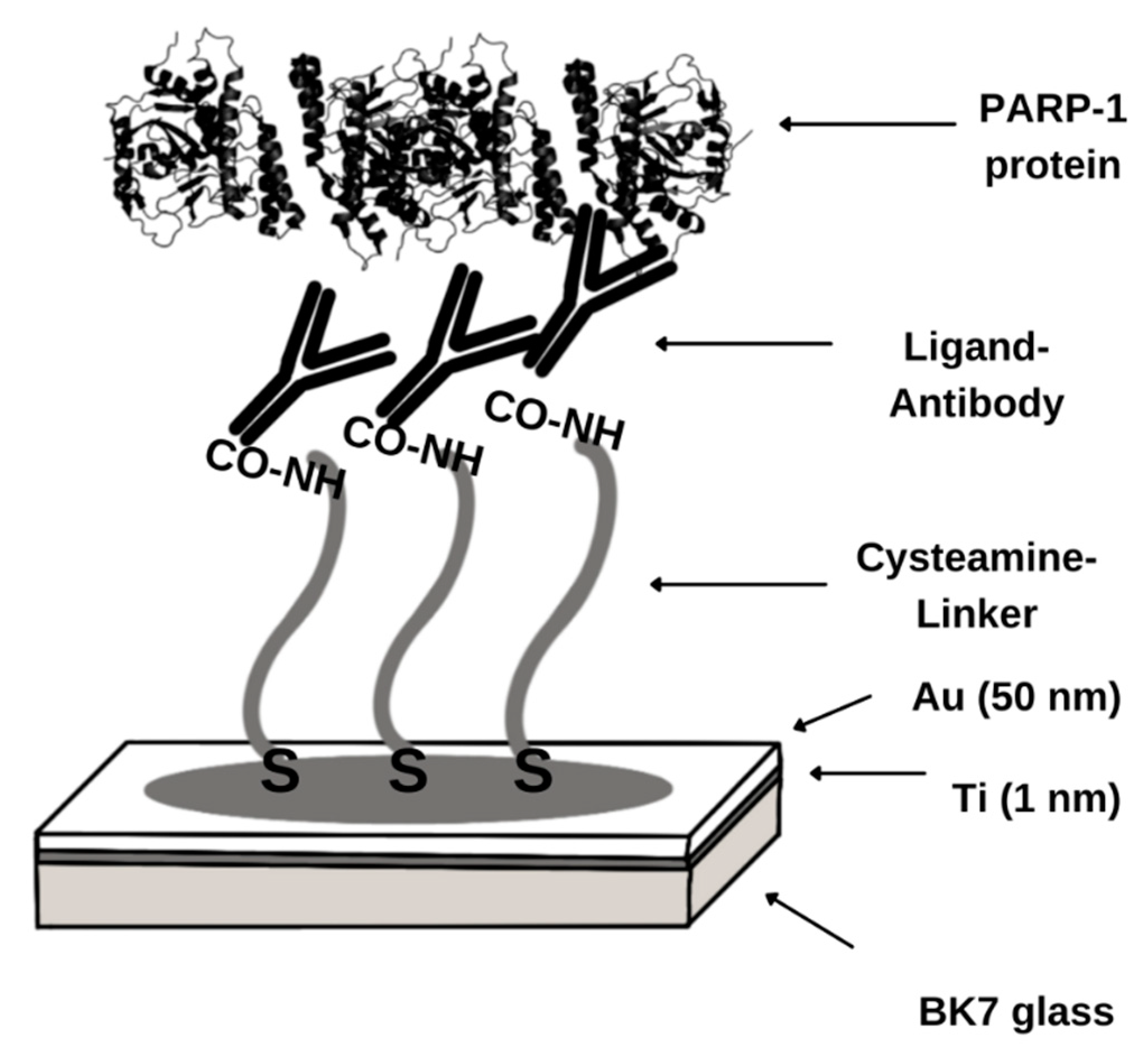 Biomedicines 11 00602 g0a3