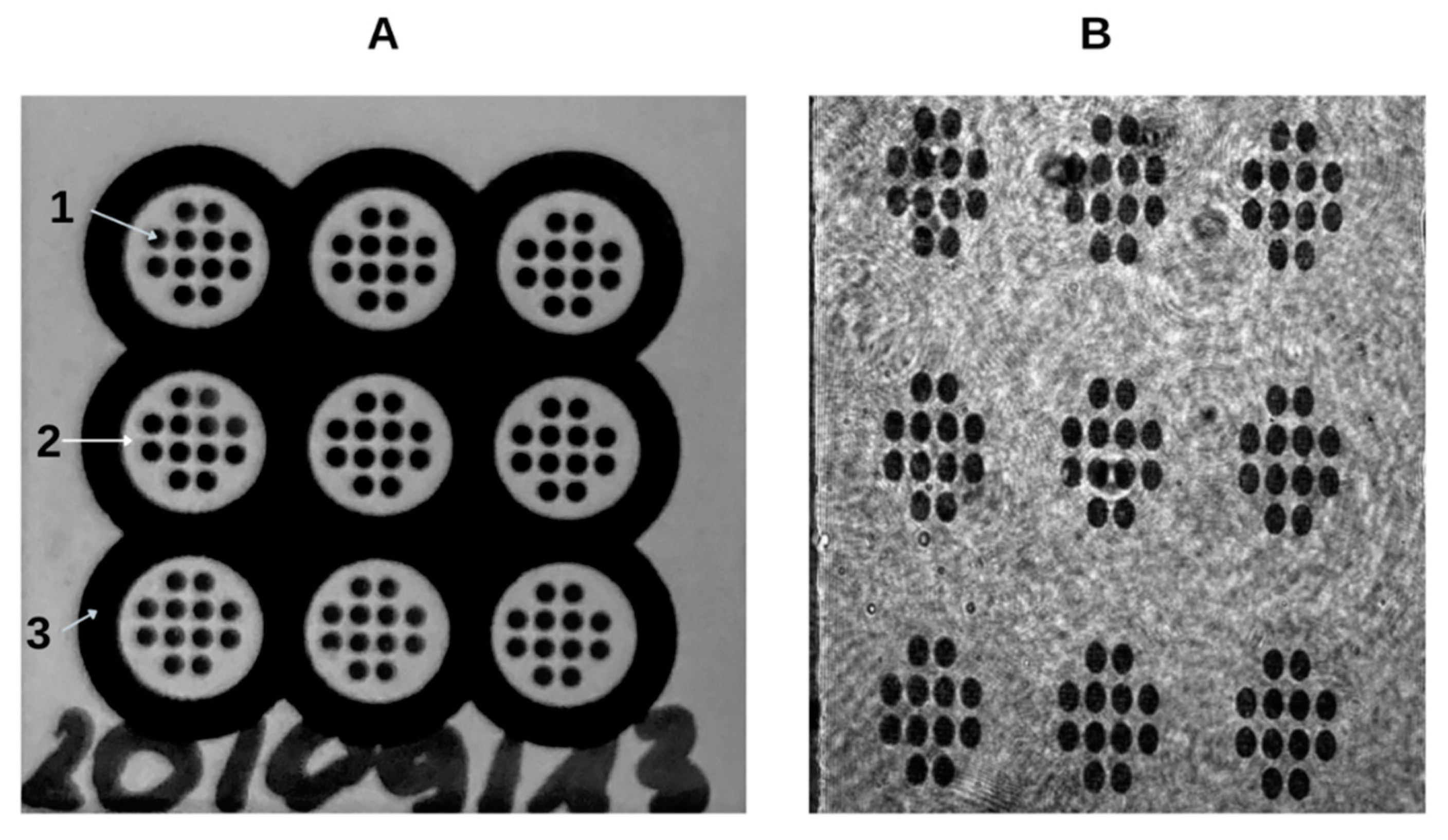 Biomedicines 11 00602 g0a4