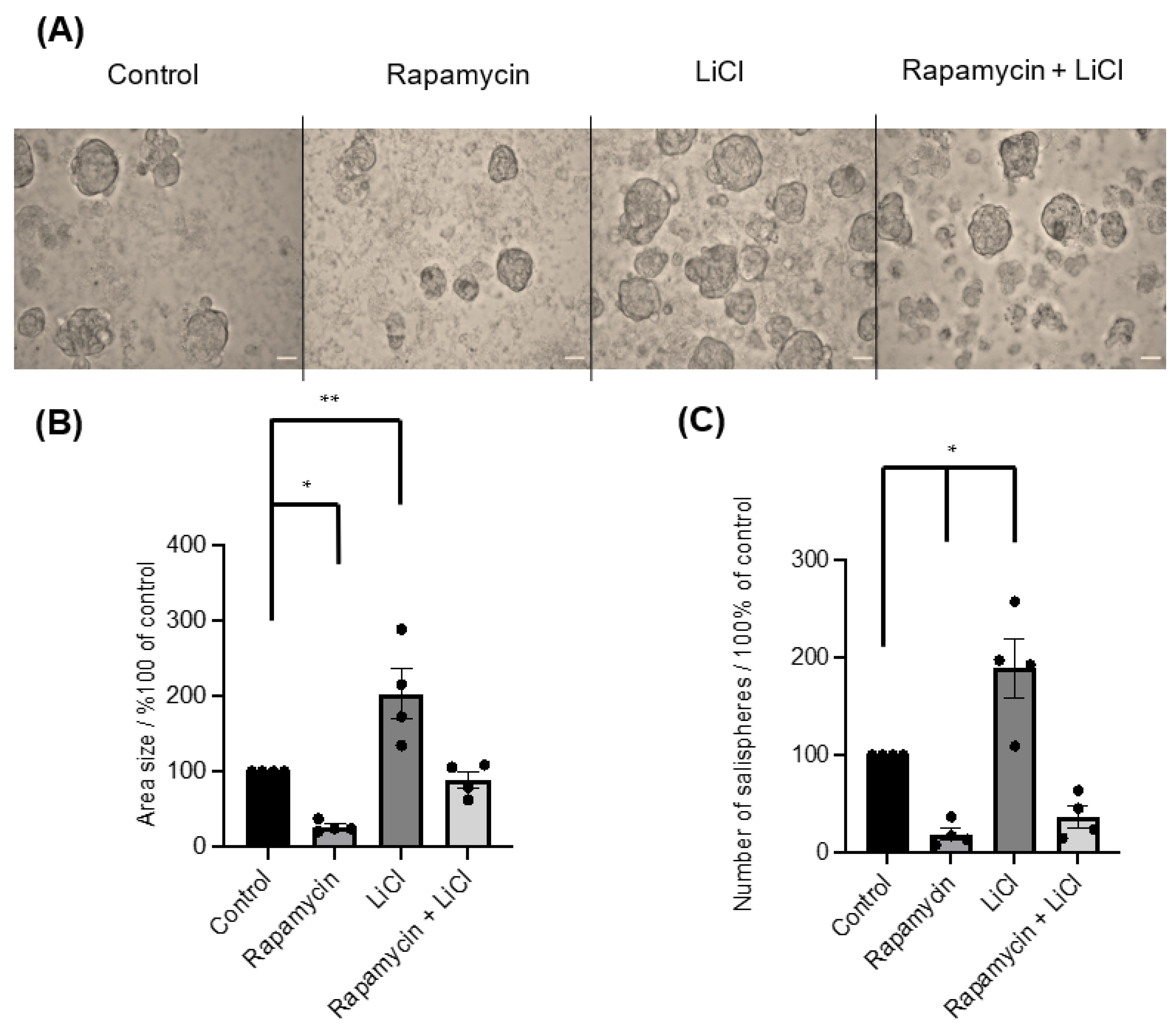 Biomedicines 11 00604 g002 Biomedicines 11 00604 g002