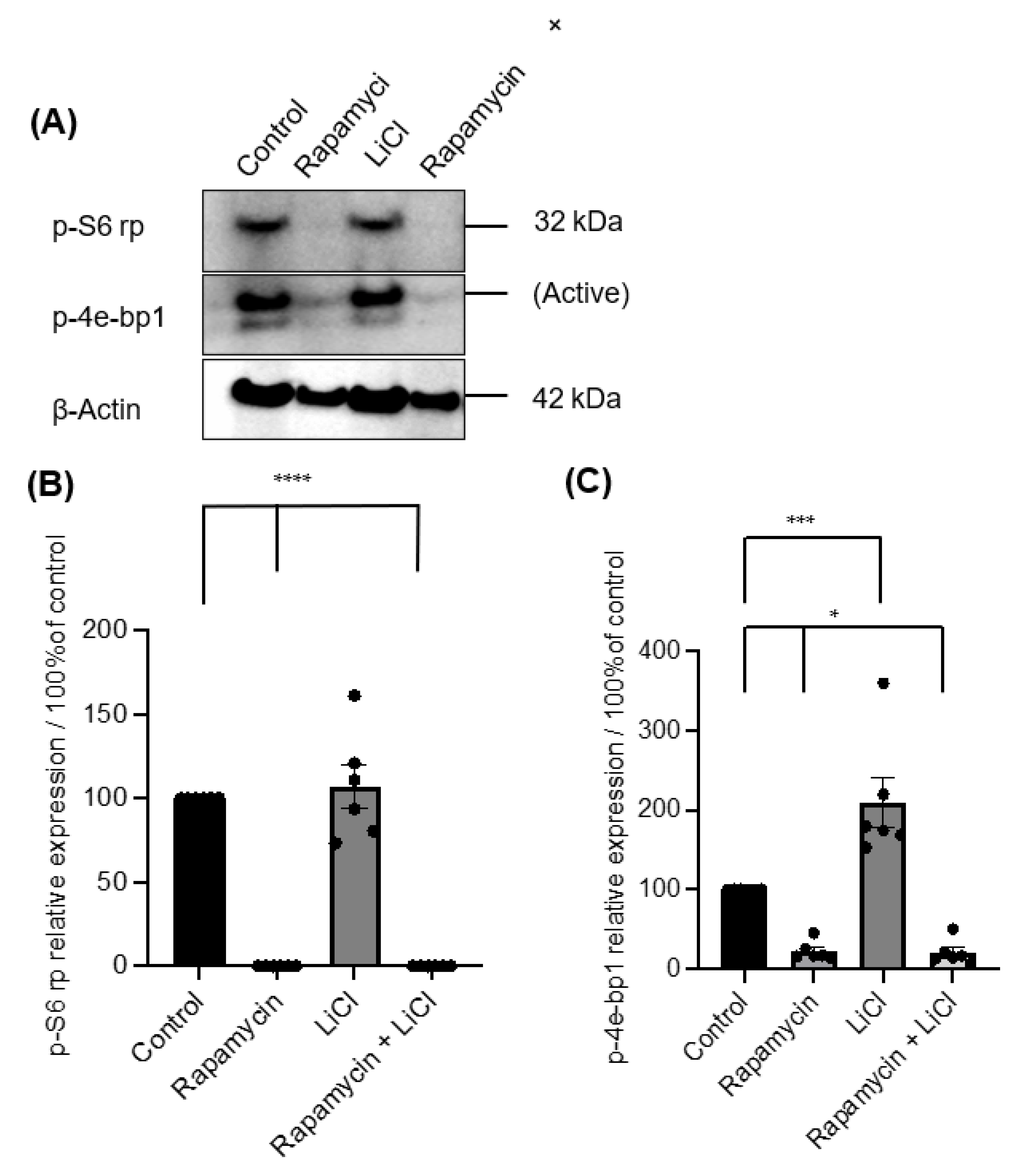 Biomedicines 11 00604 g003 Biomedicines 11 00604 g003