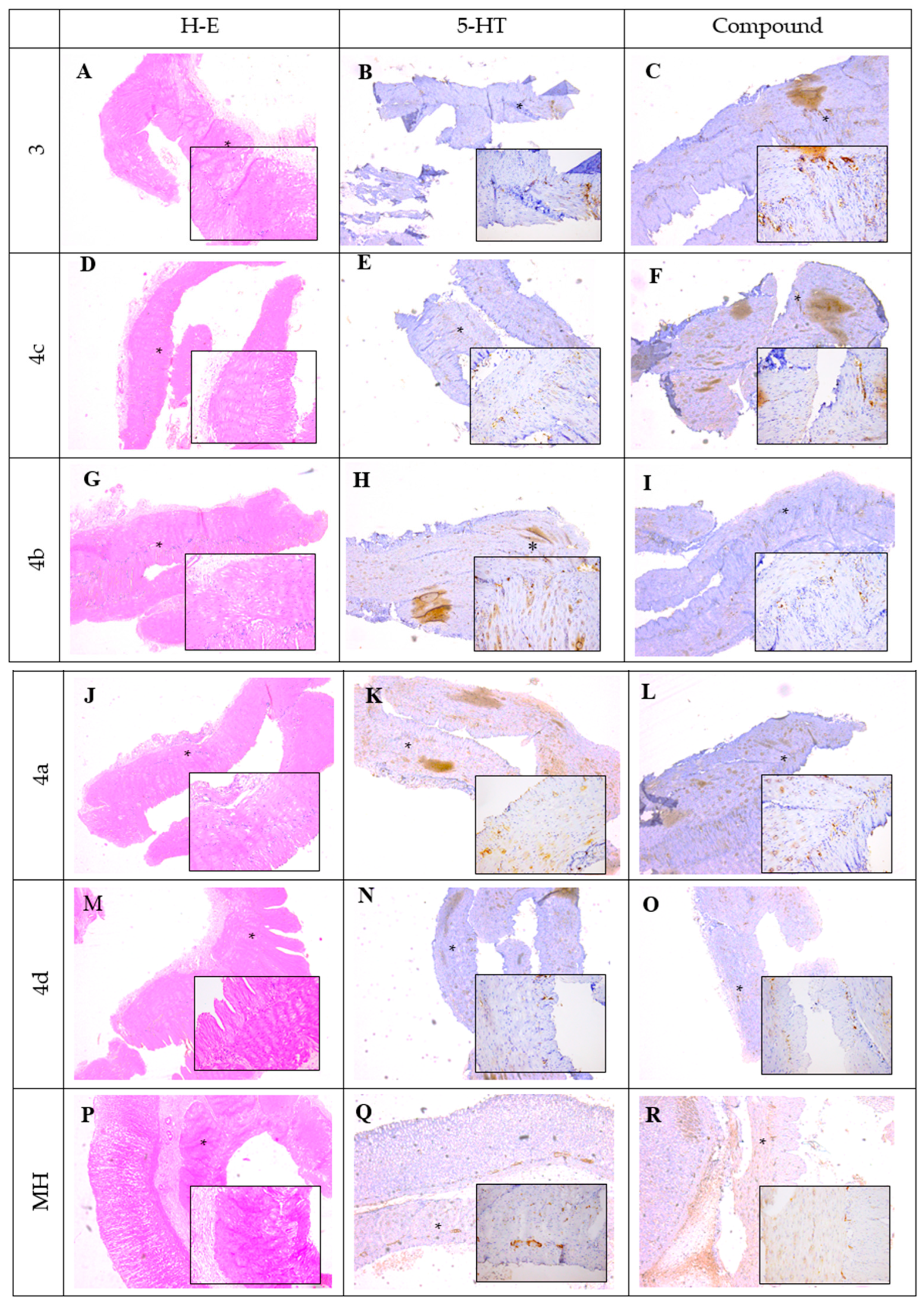 Biomedicines 11 00605 g005