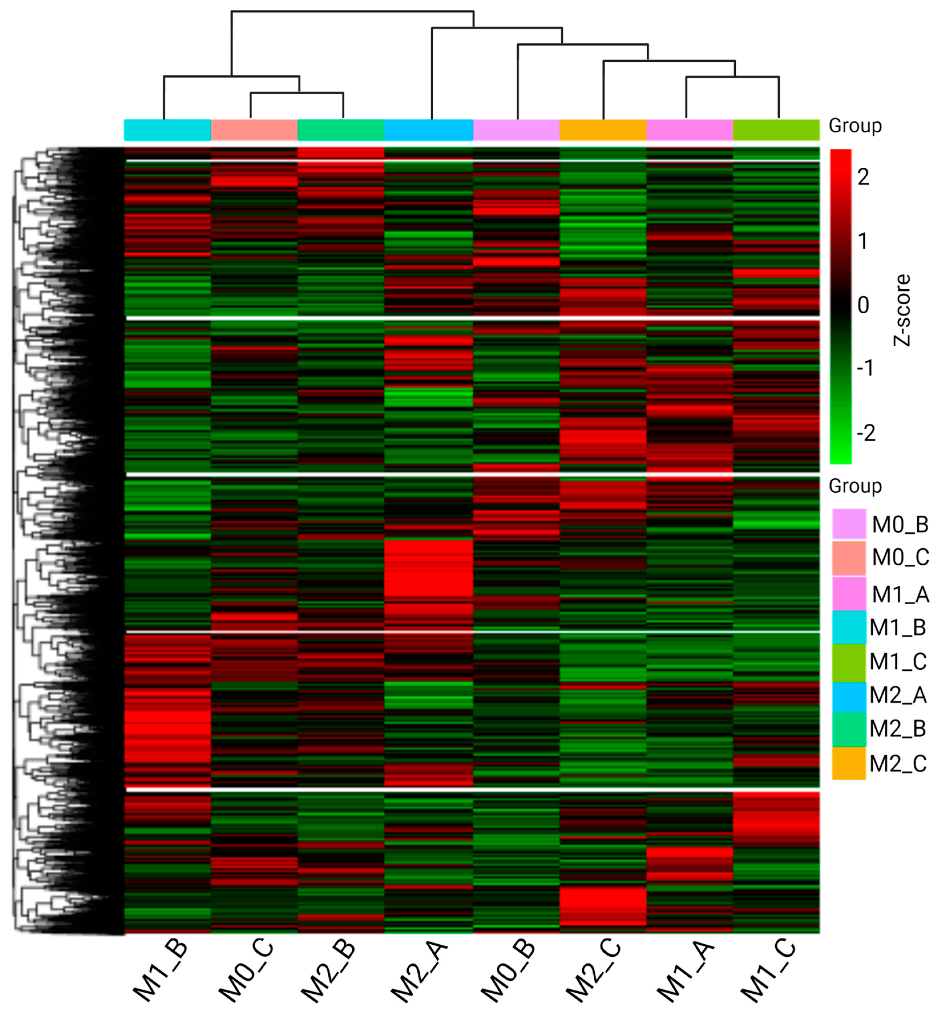Biomedicines 11 00608 g004