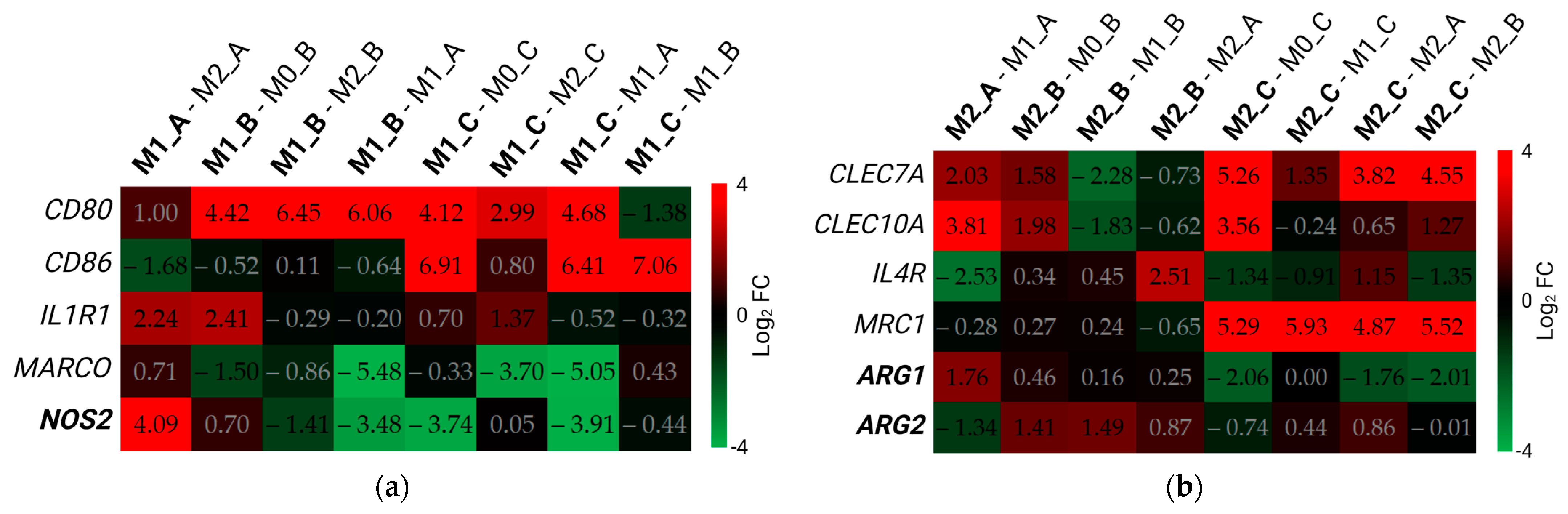 Biomedicines 11 00608 g008