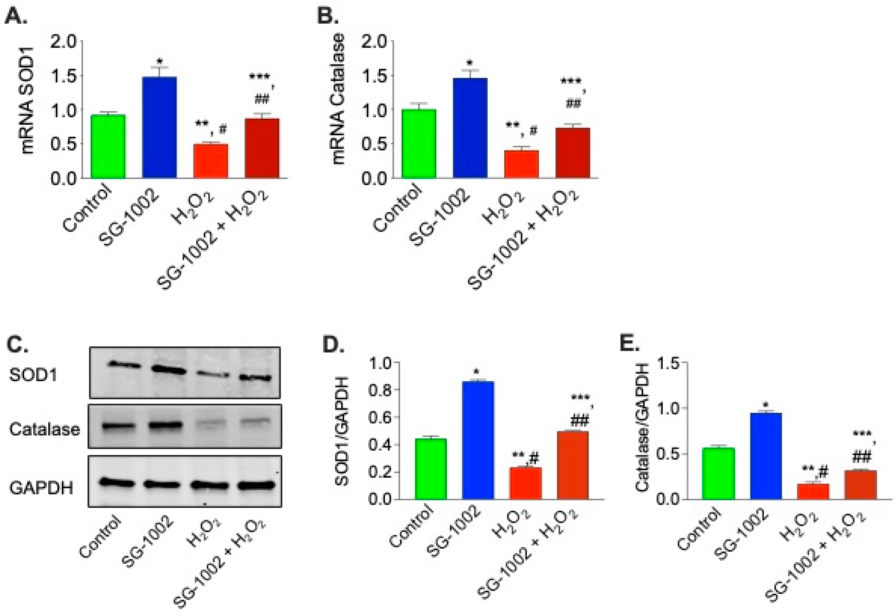 Biomedicines 11 00612 g004 Biomedicines 11 00612 g004