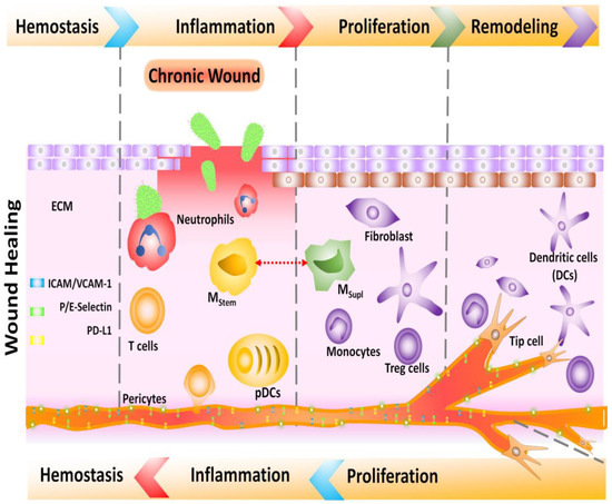 Biomedicines, Free Full-Text