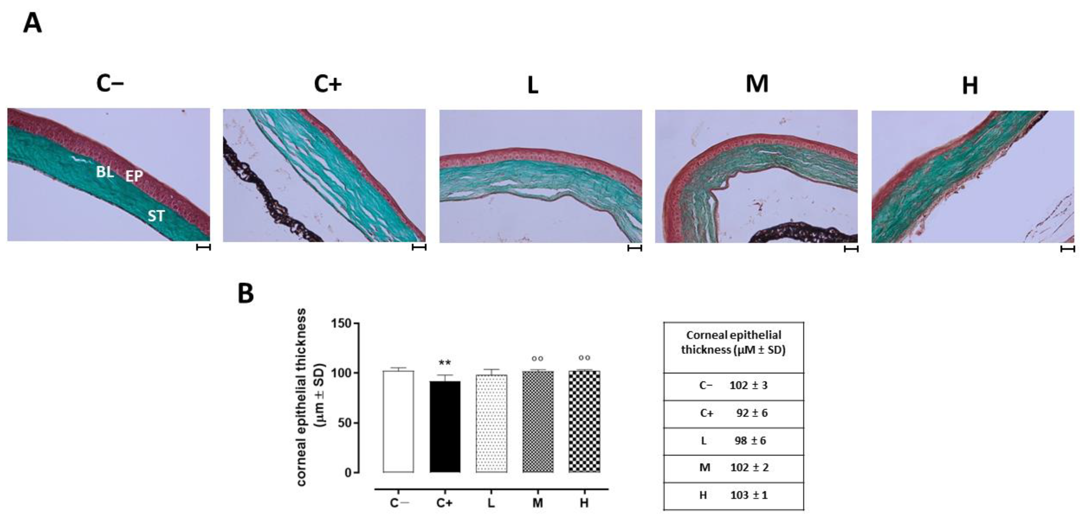 Biomedicines 11 00616 g002 Biomedicines 11 00616 g002