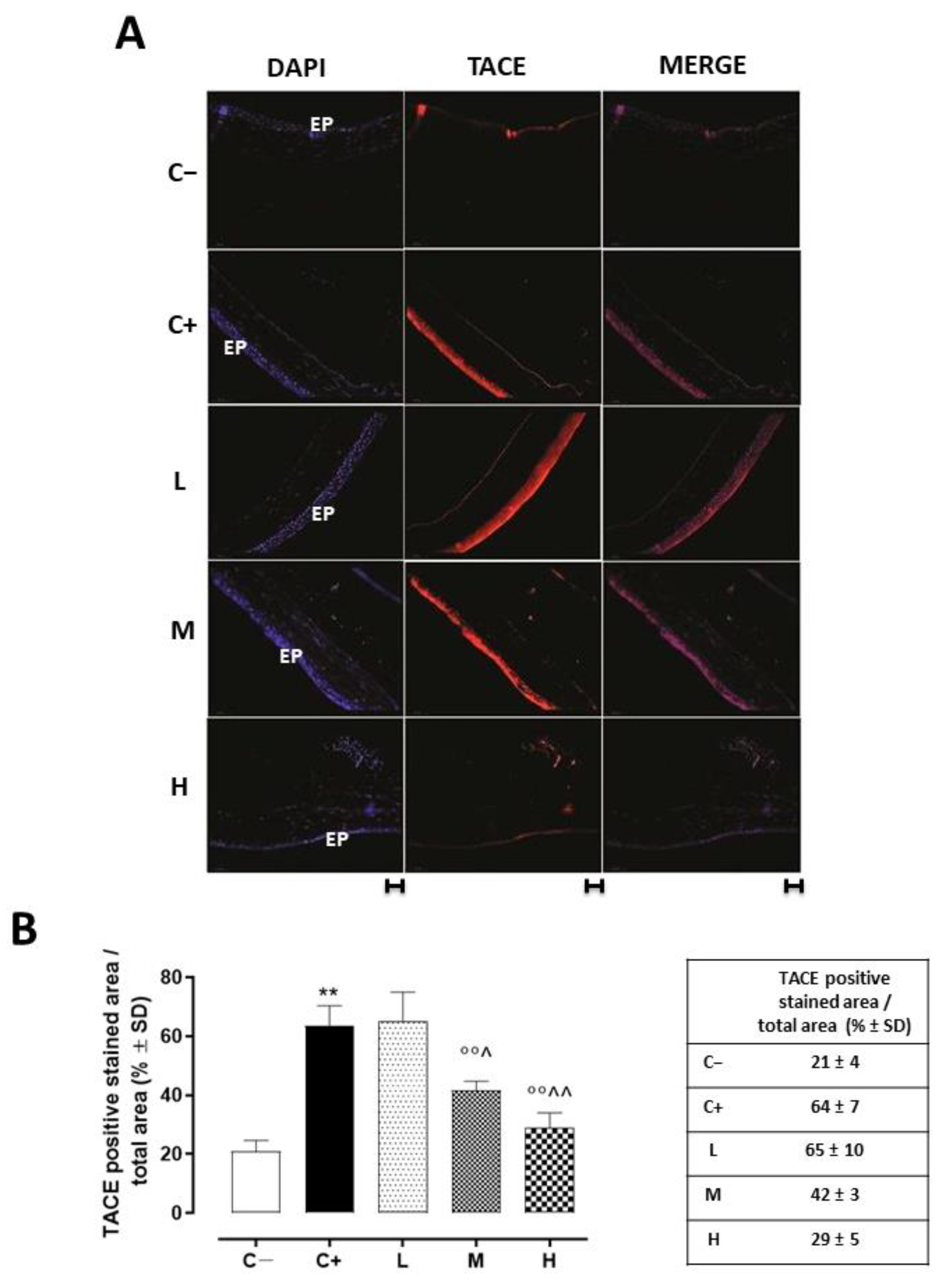 Biomedicines 11 00616 g003 Biomedicines 11 00616 g003