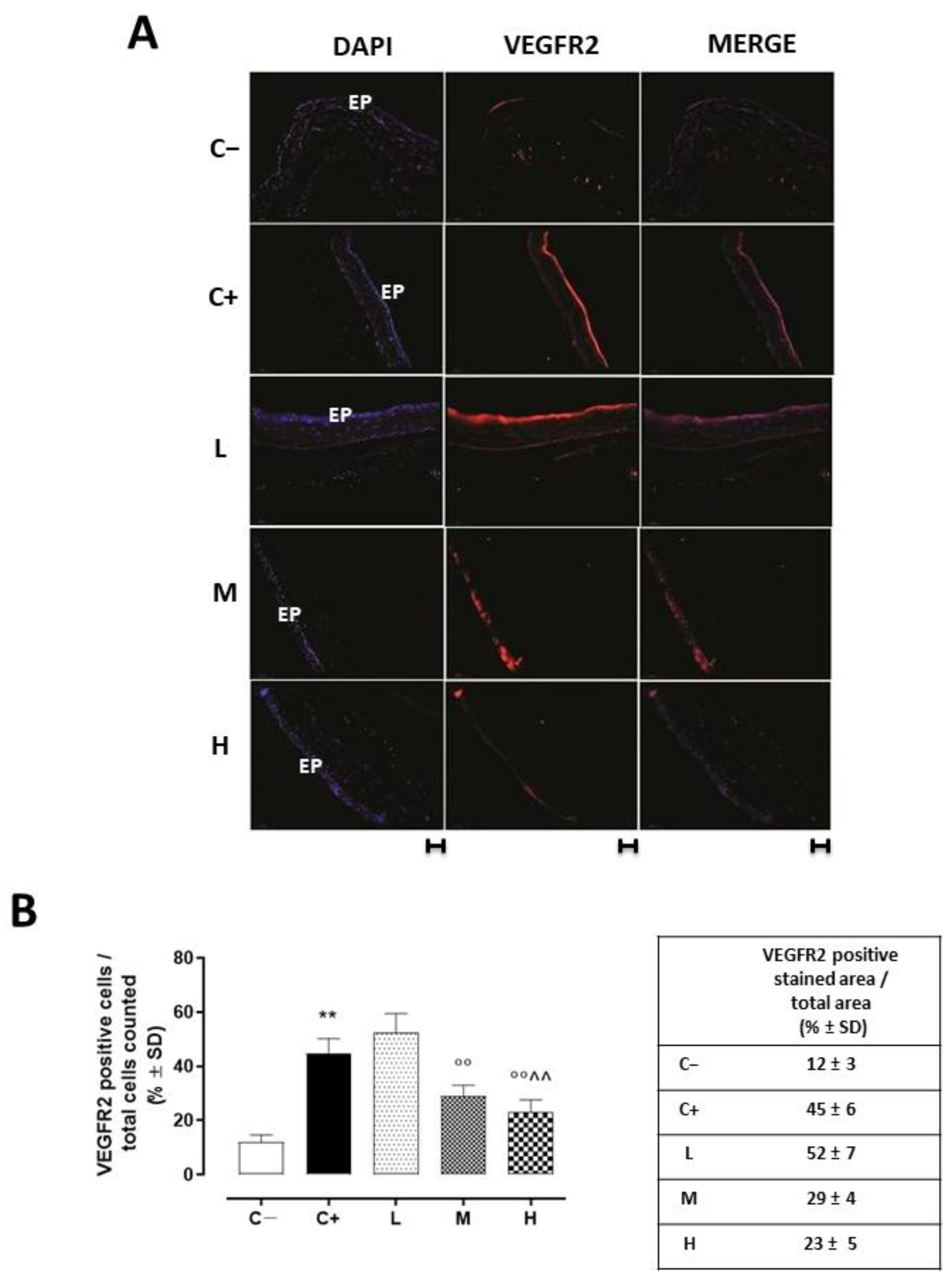 Biomedicines 11 00616 g005 Biomedicines 11 00616 g005