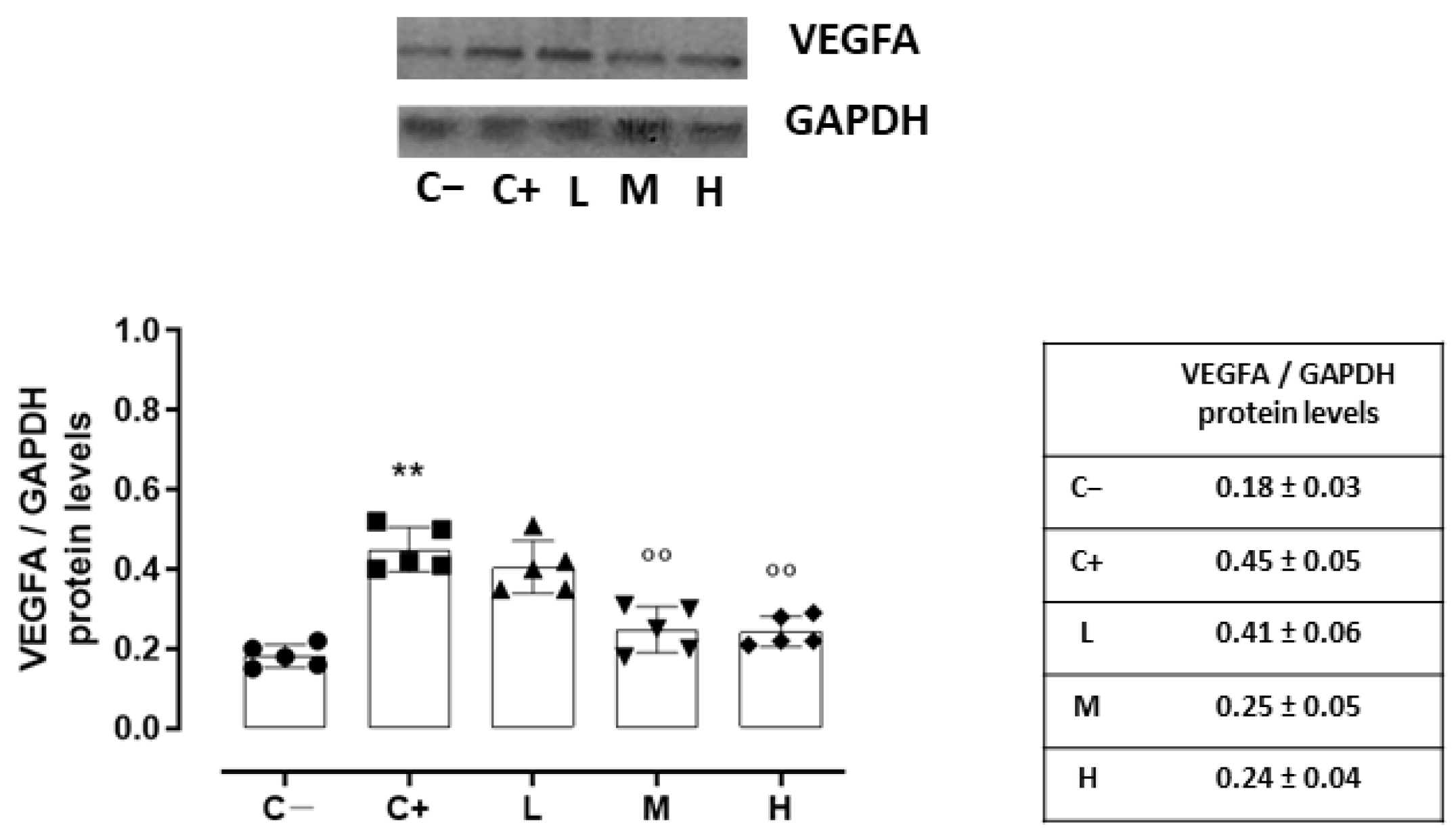 Biomedicines 11 00616 g006 Biomedicines 11 00616 g006