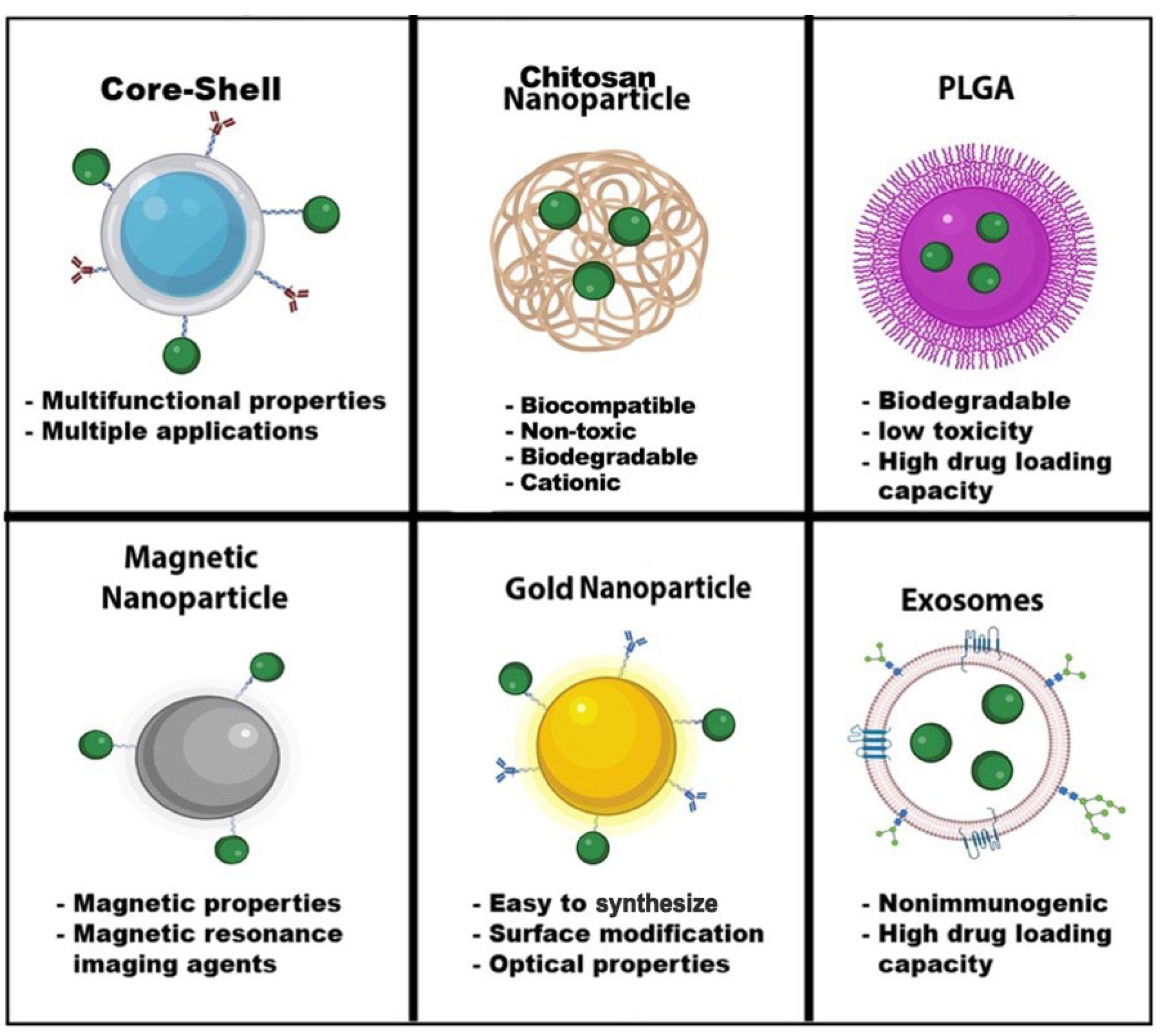 Biomedicines 11 00617 g004 Biomedicines 11 00617 g004