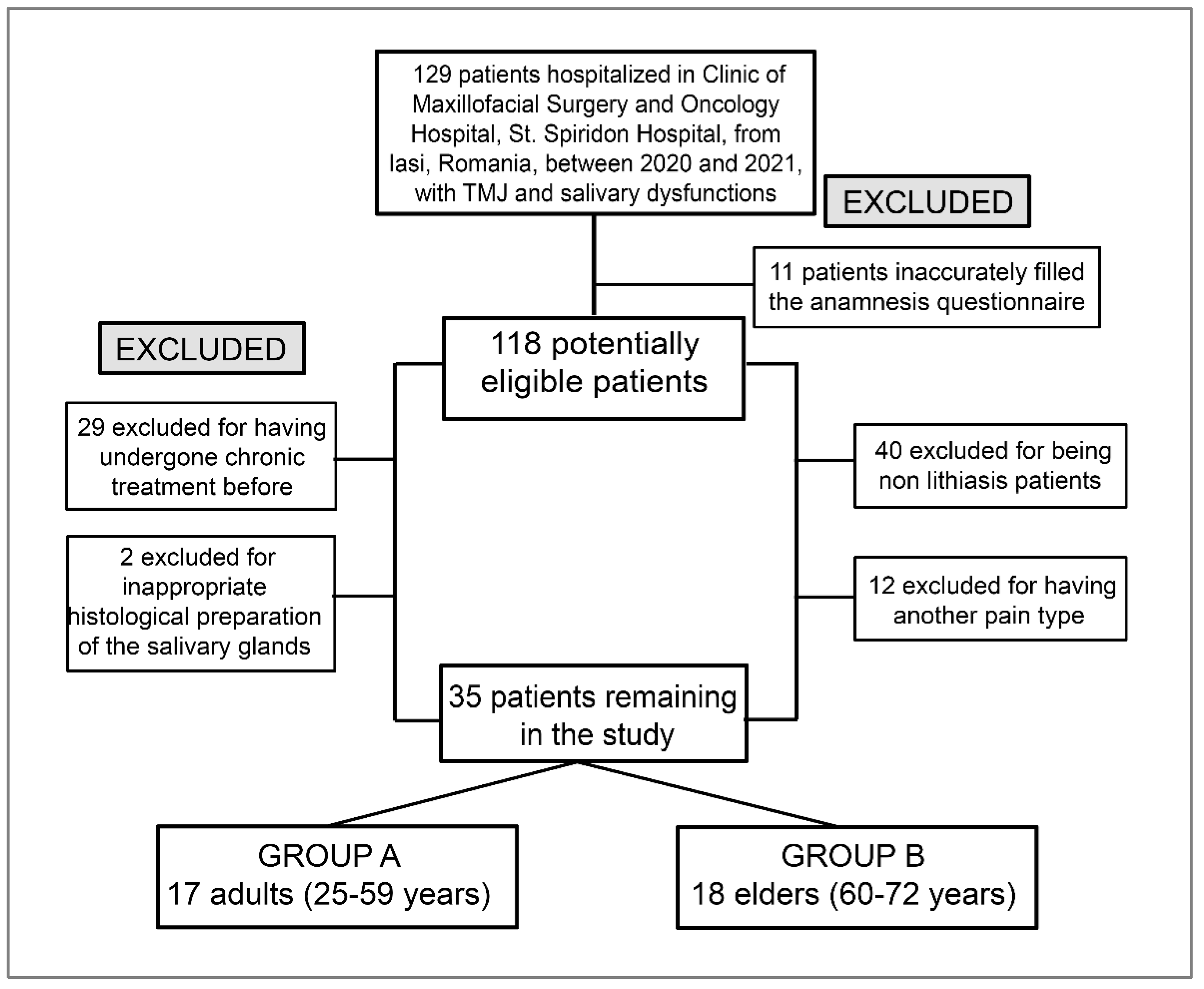 Biomedicines 11 00622 g001