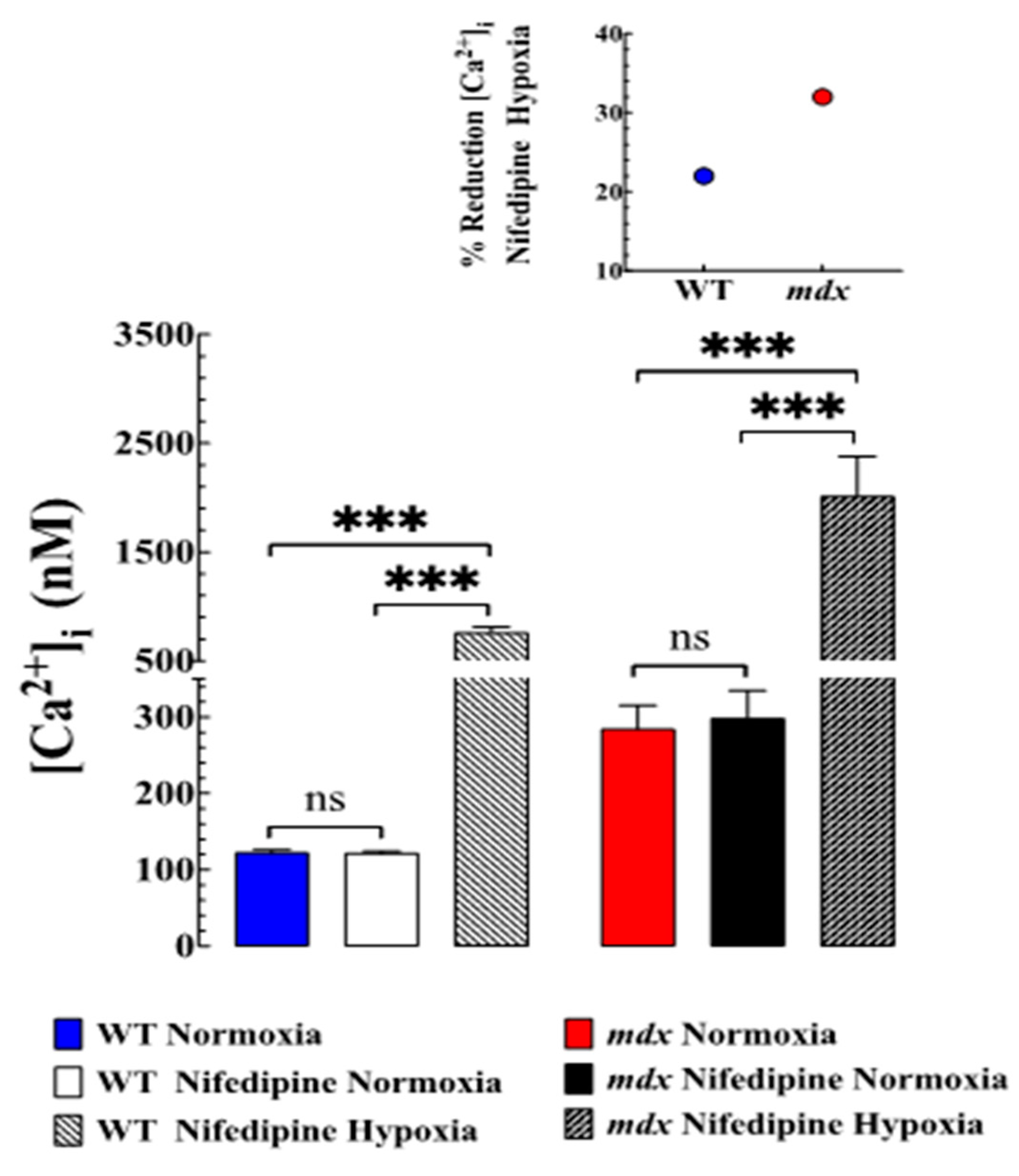 Biomedicines 11 00623 g003