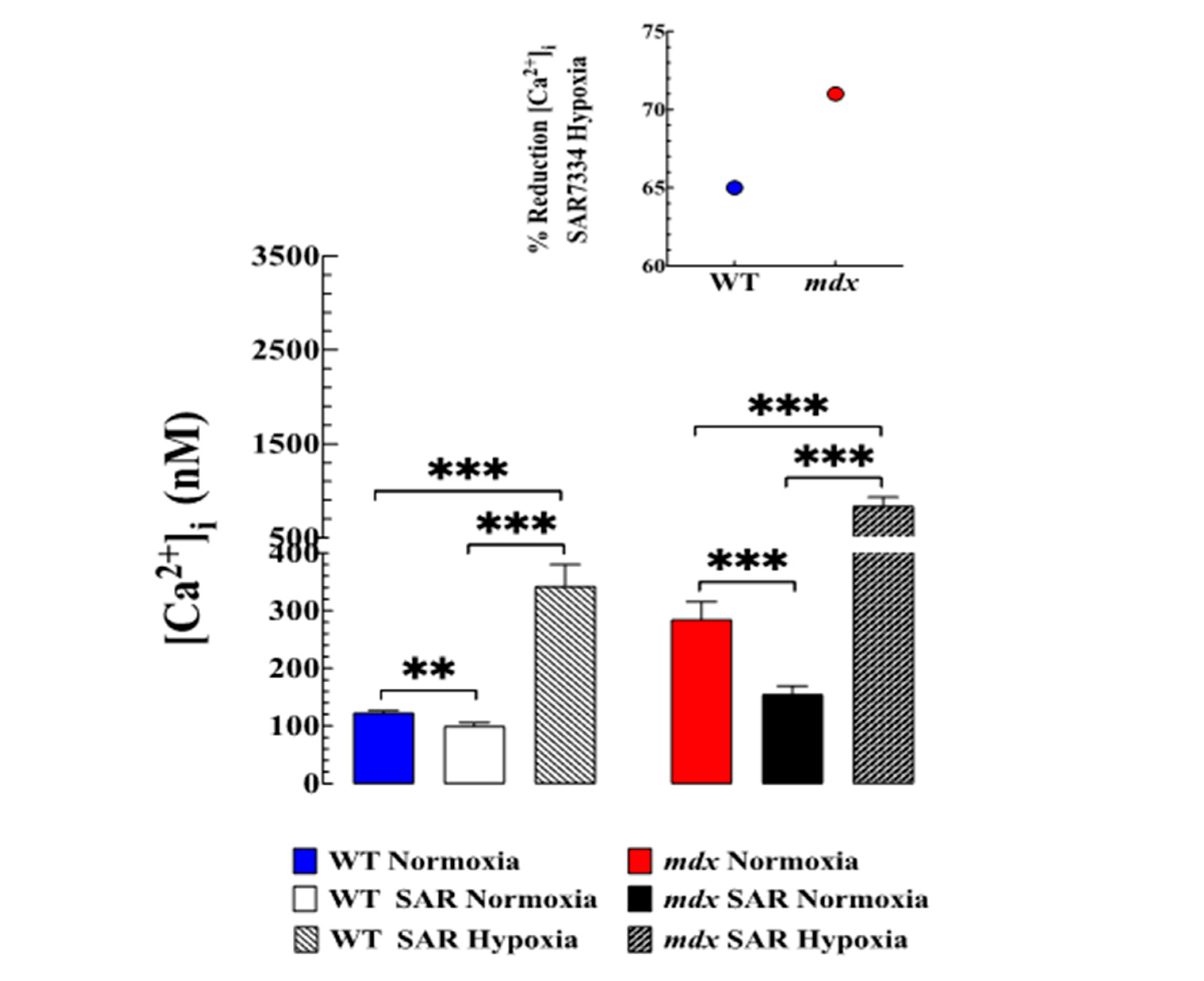 Biomedicines 11 00623 g004