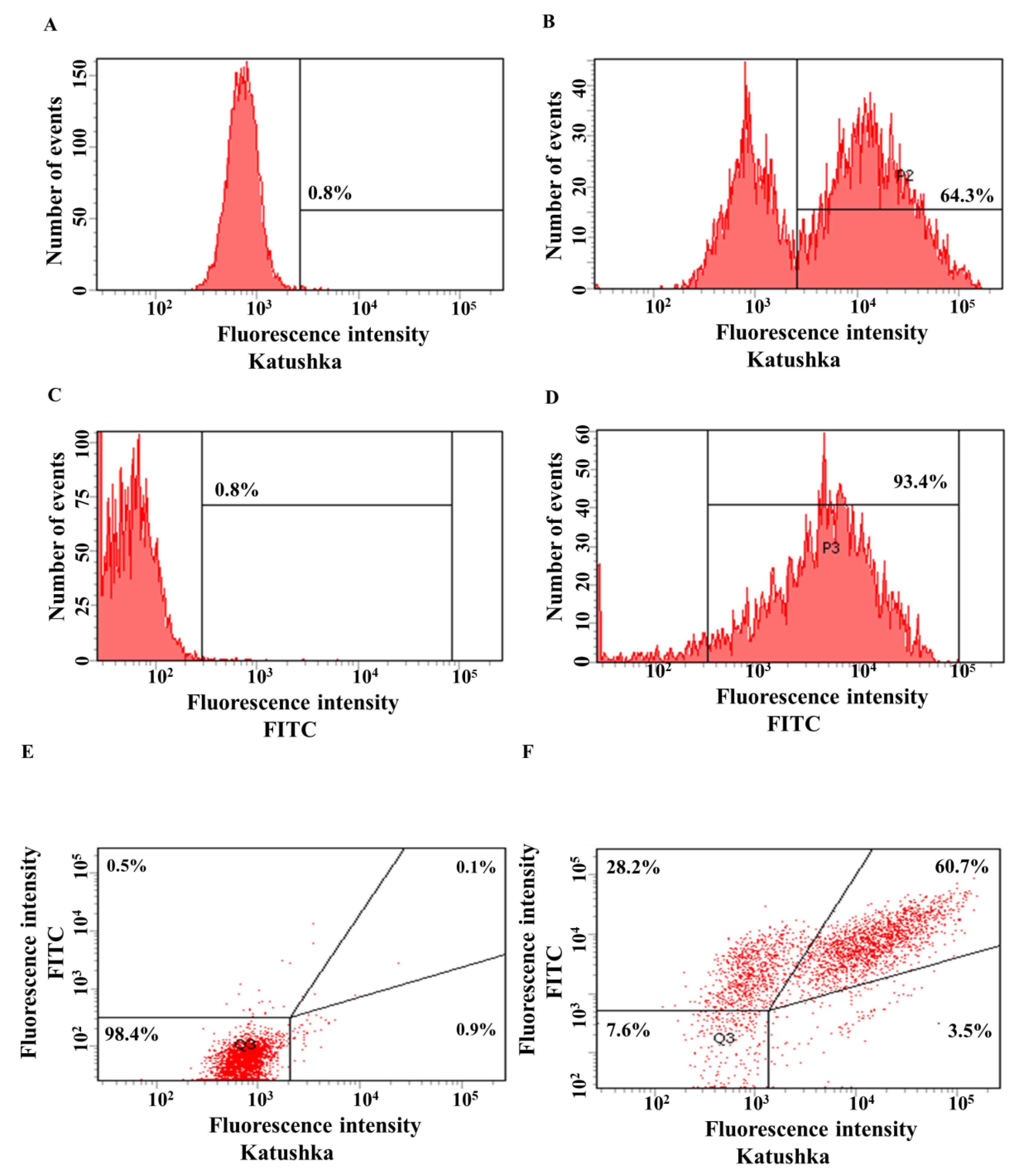 Biomedicines 11 00626 g004 Biomedicines 11 00626 g004