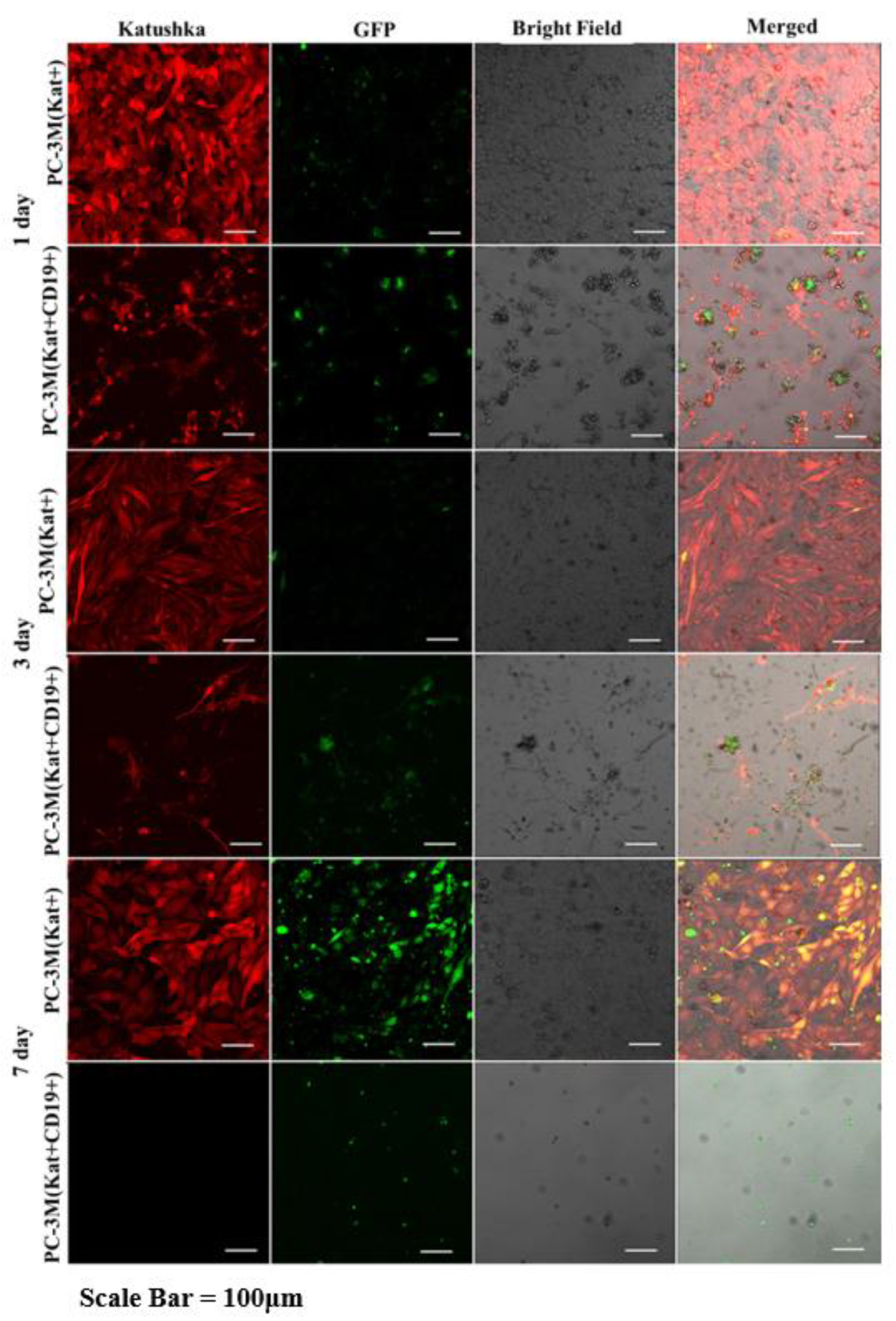 Biomedicines 11 00626 g012 Biomedicines 11 00626 g012