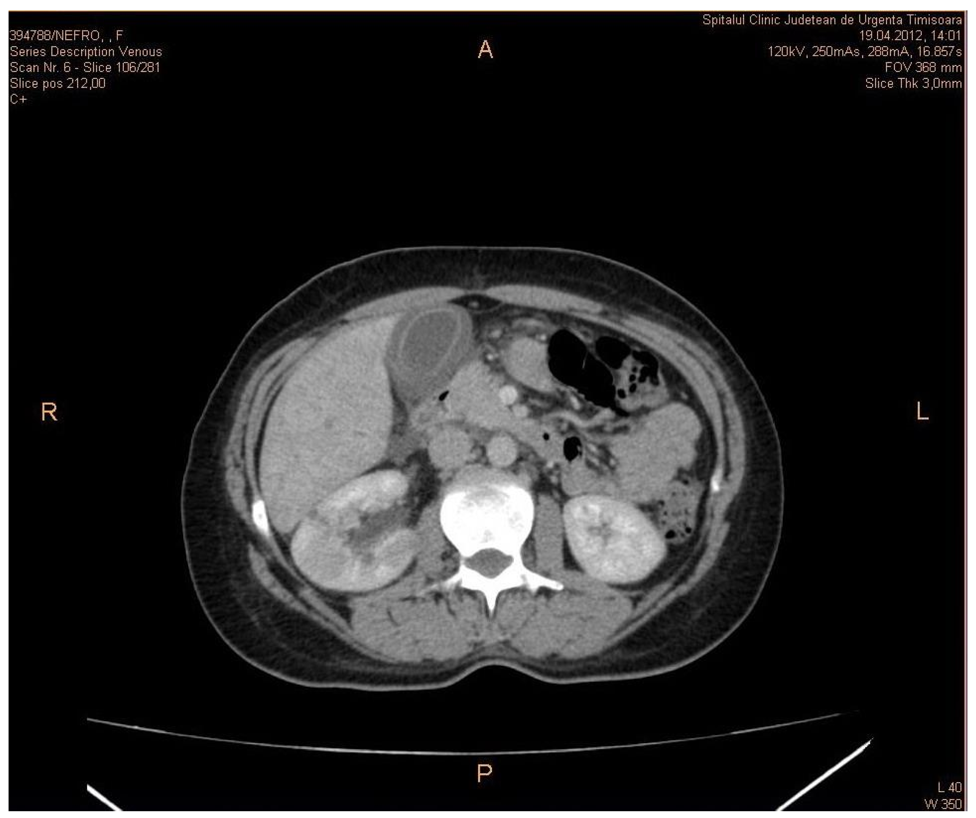 Biomedicines 11 00632 g001