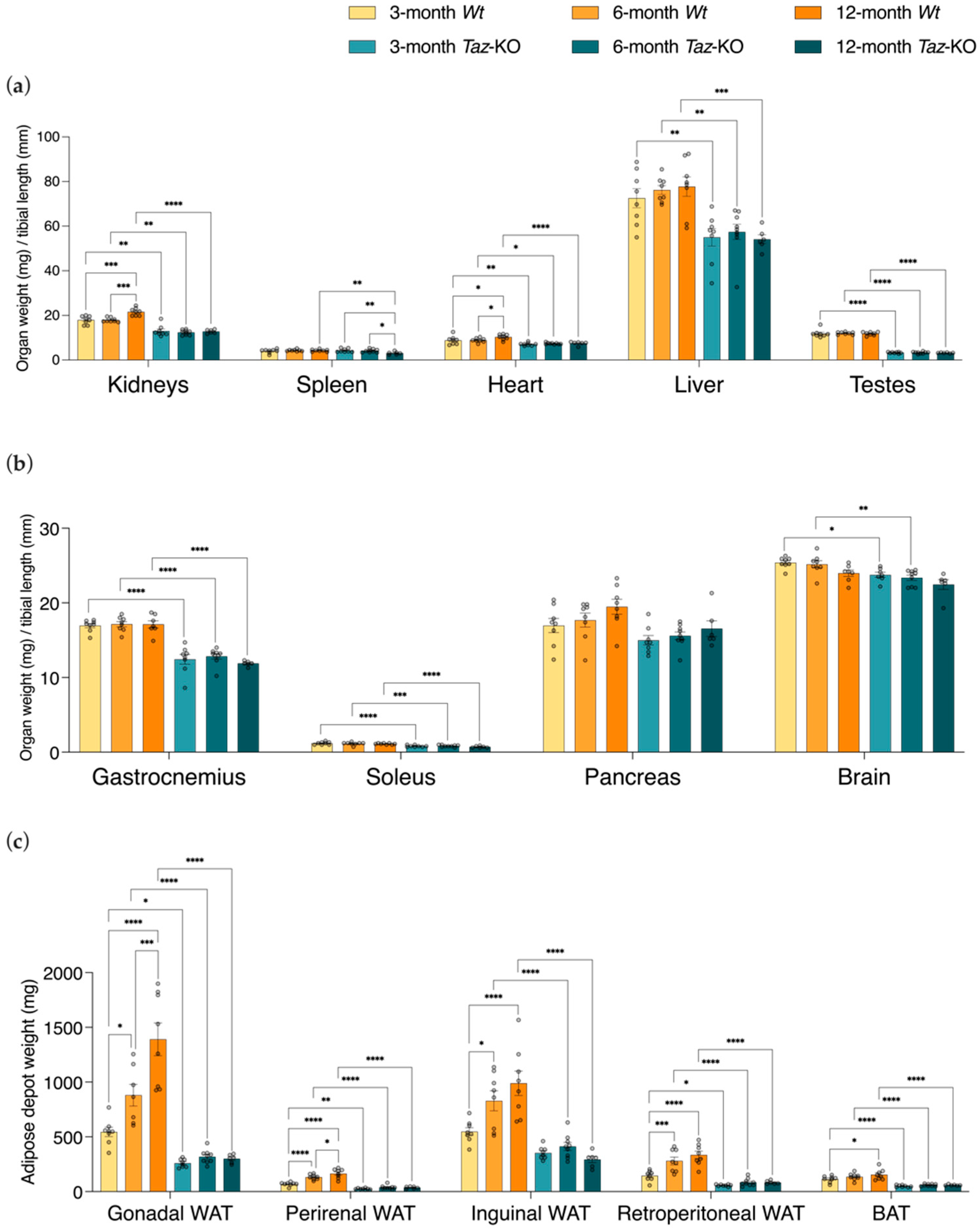 Biomedicines 11 00638 g003