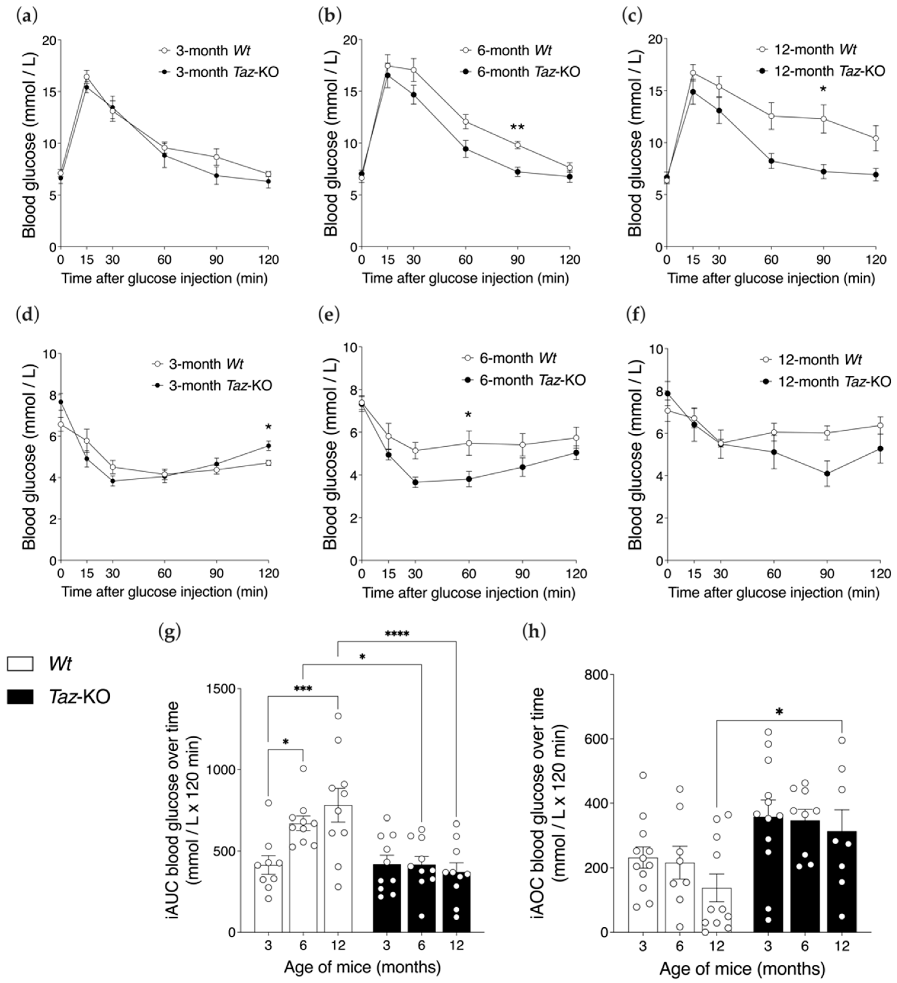 Biomedicines 11 00638 g007