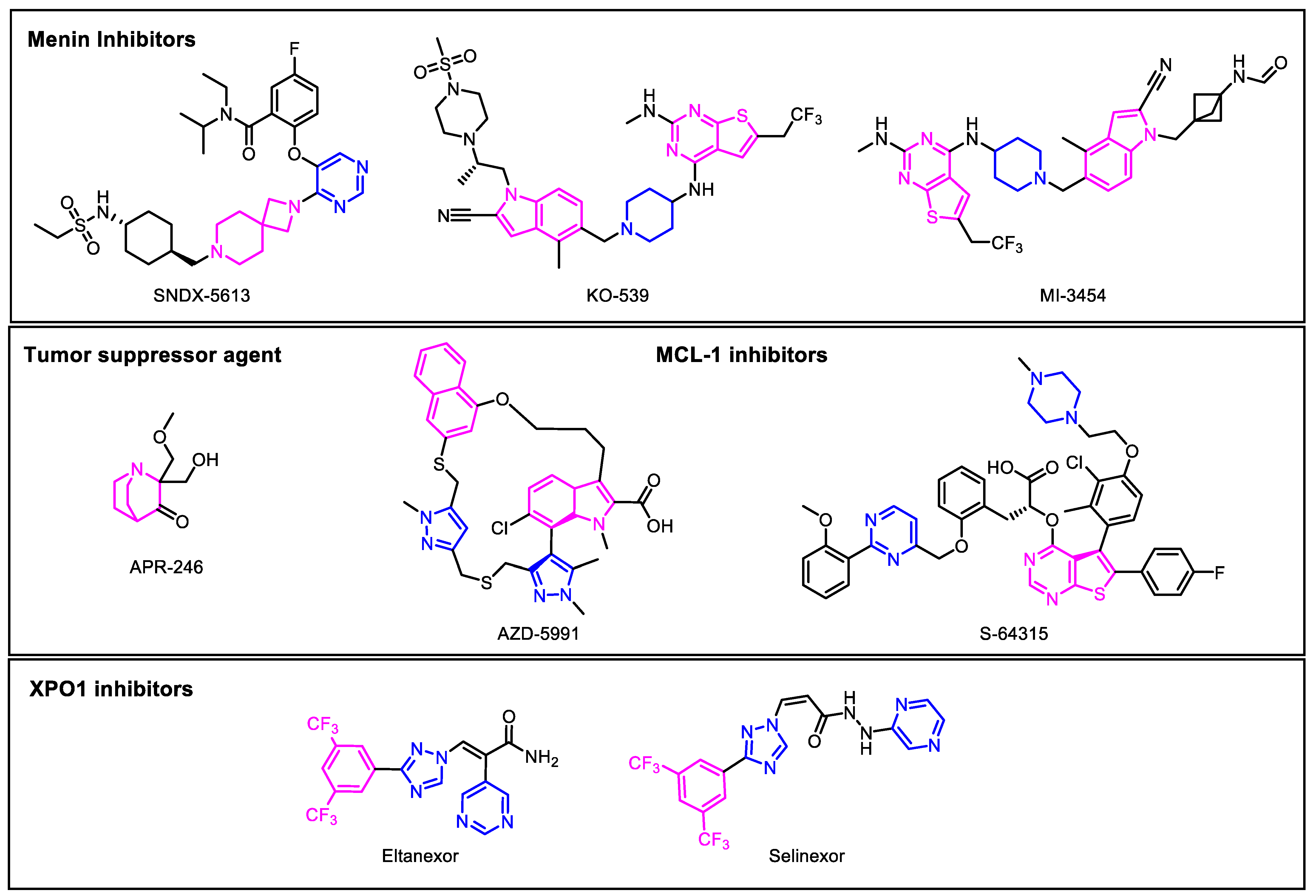 Recent Progress of Small Molecule Menin–MLL Interaction Inhibitors as  Therapeutic Agents for Acute Leukemia