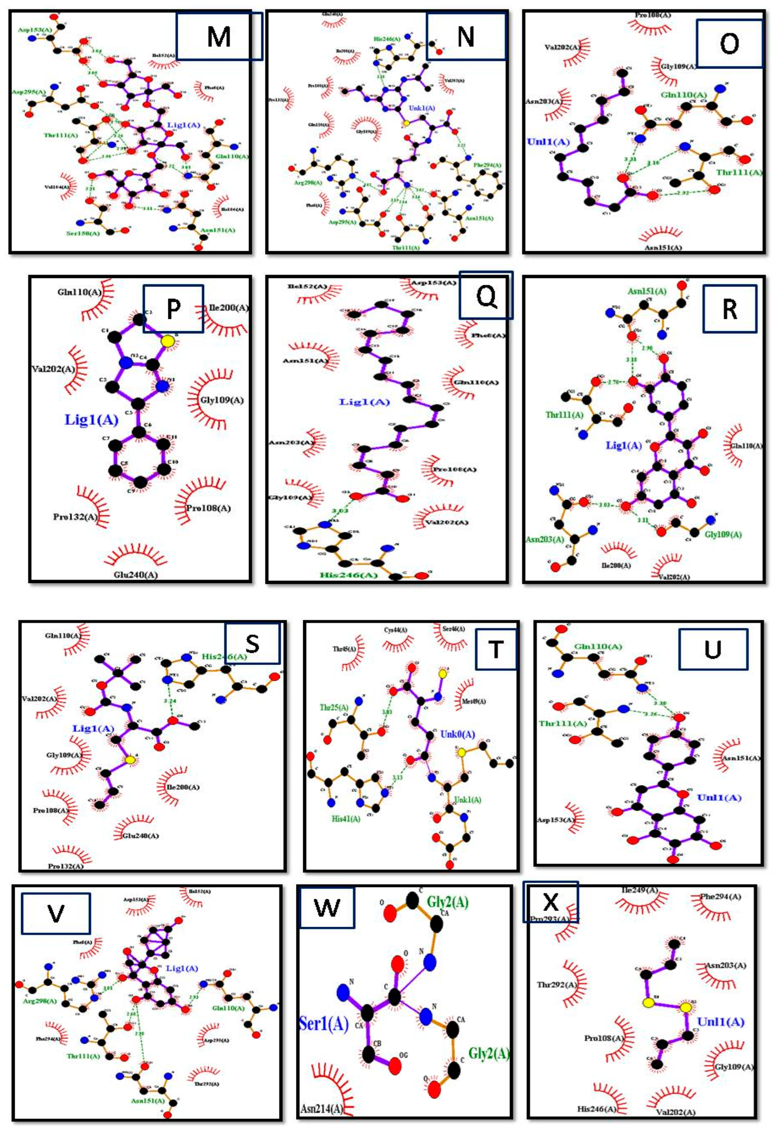 Biomedicines 11 00643 g004b Biomedicines 11 00643 g004b