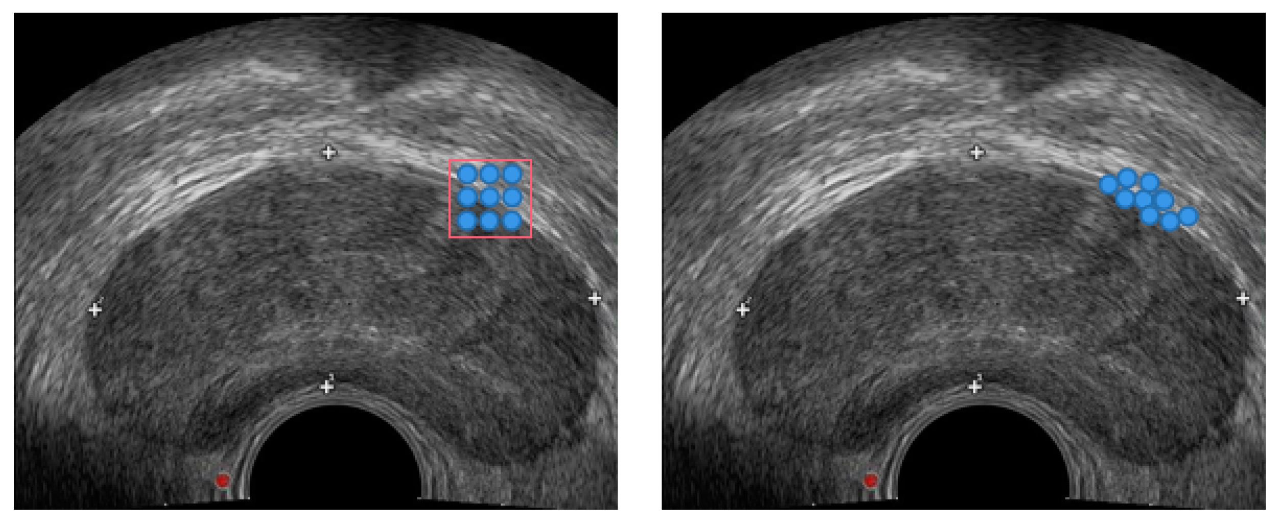 Biomedicines 11 00646 g003