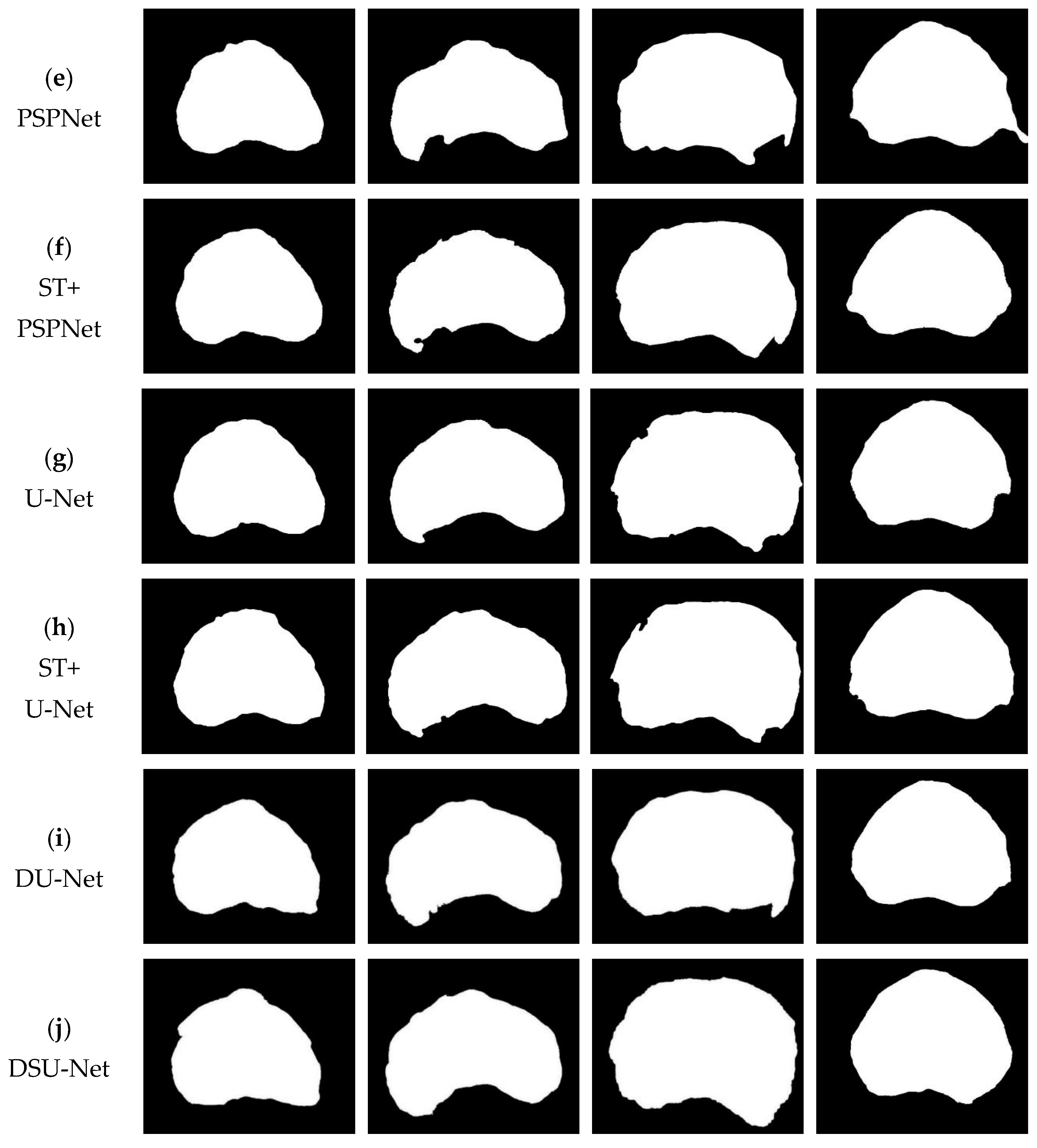 Biomedicines 11 00646 g006b