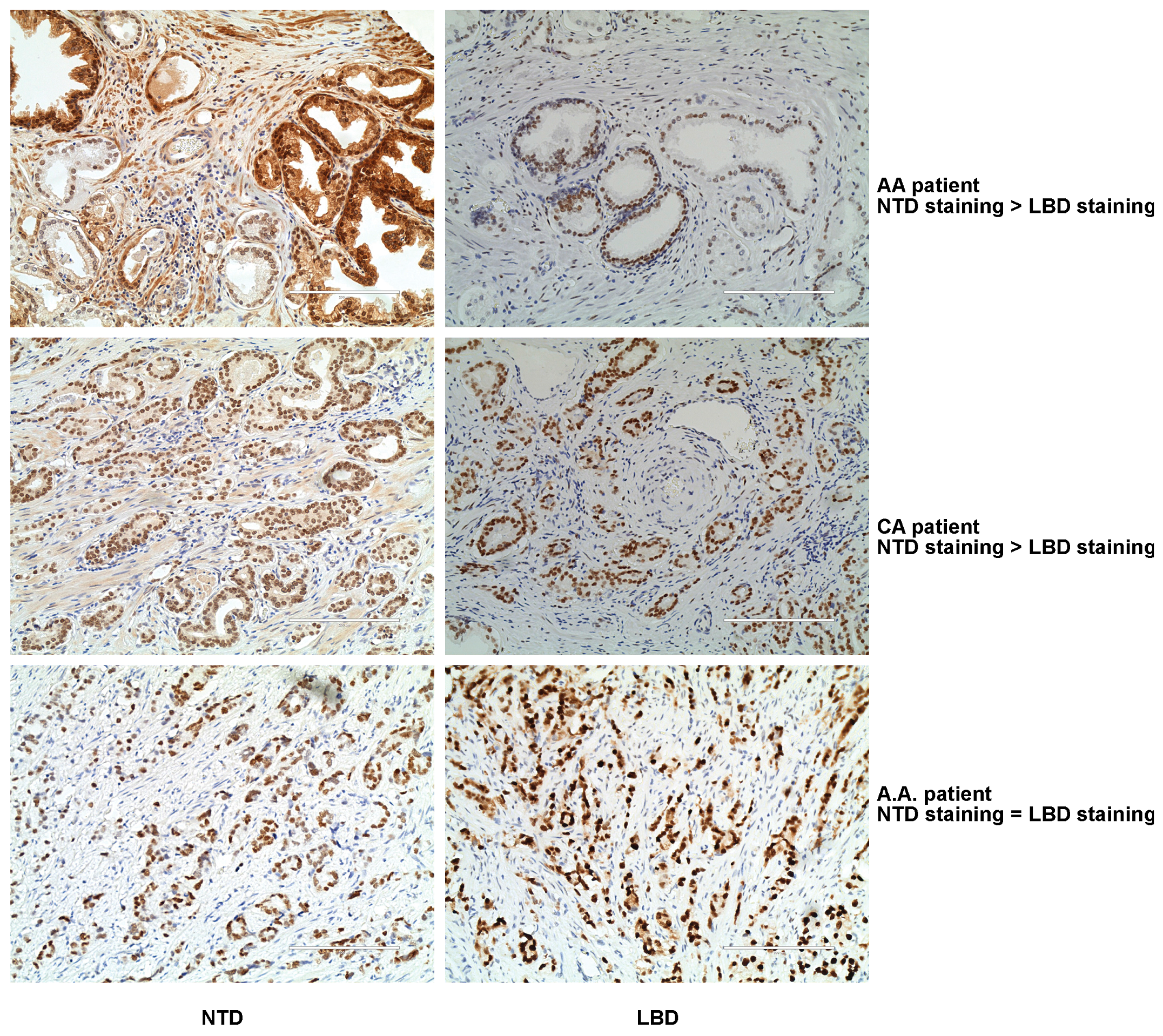 Biomedicines 11 00648 g004 Biomedicines 11 00648 g004