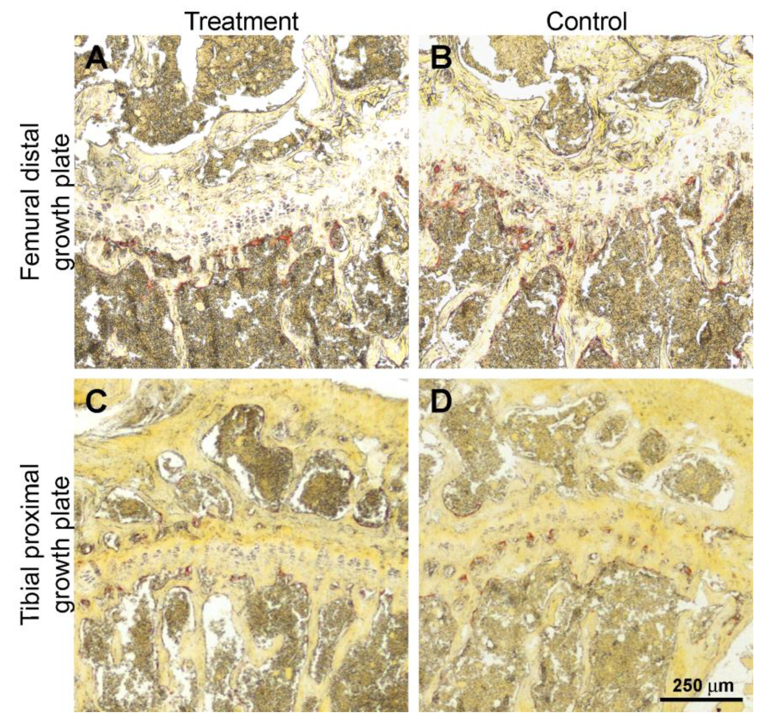 Biomedicines 11 00655 g006