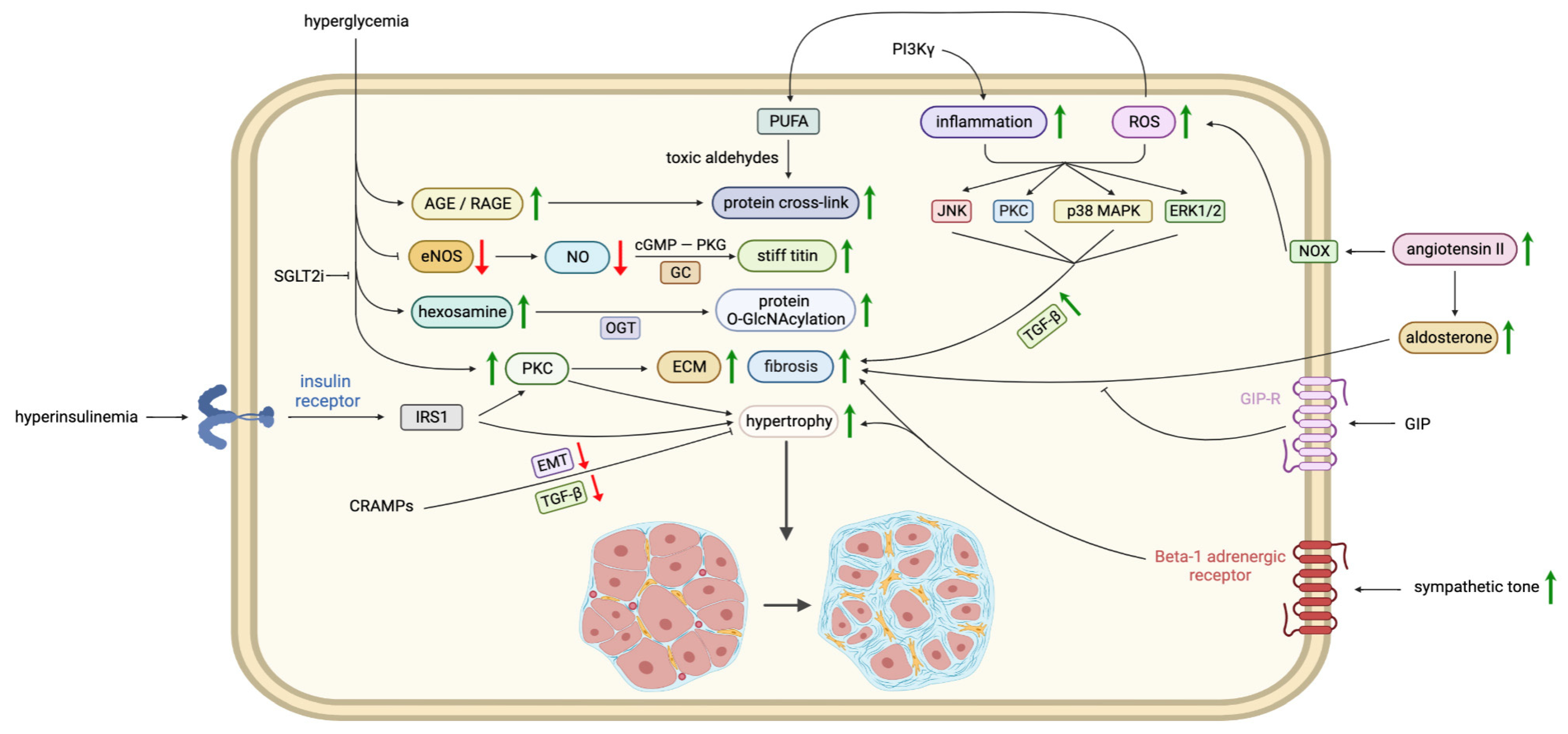Biomedicines 11 00662 g003 Biomedicines 11 00662 g003