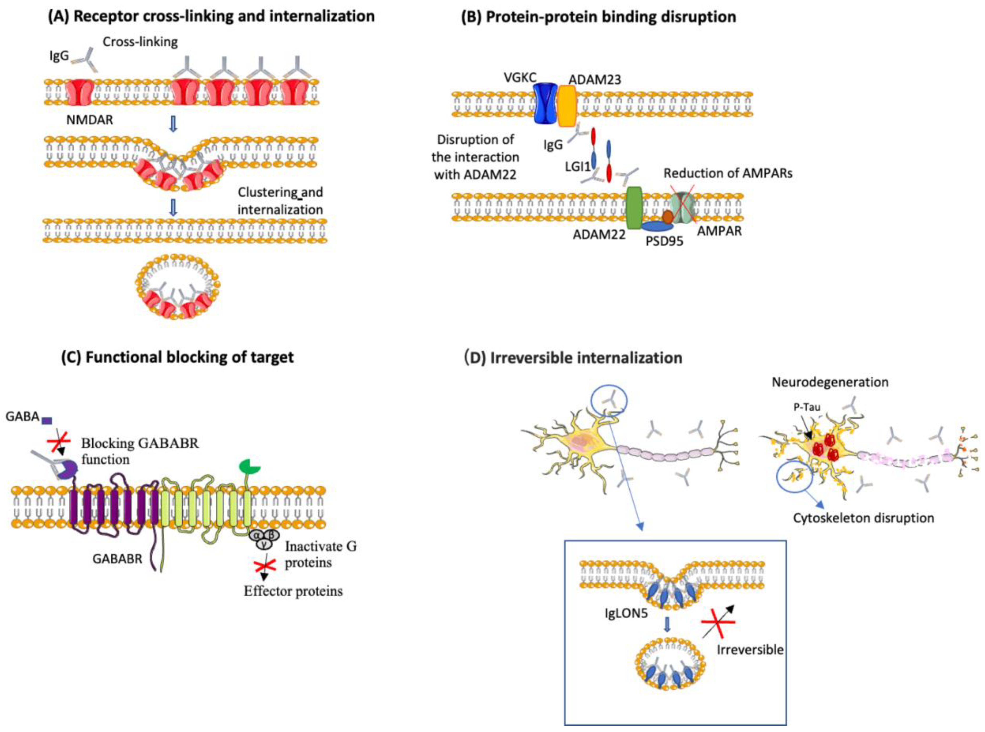 Biomedicines 11 00666 g002 Biomedicines 11 00666 g002