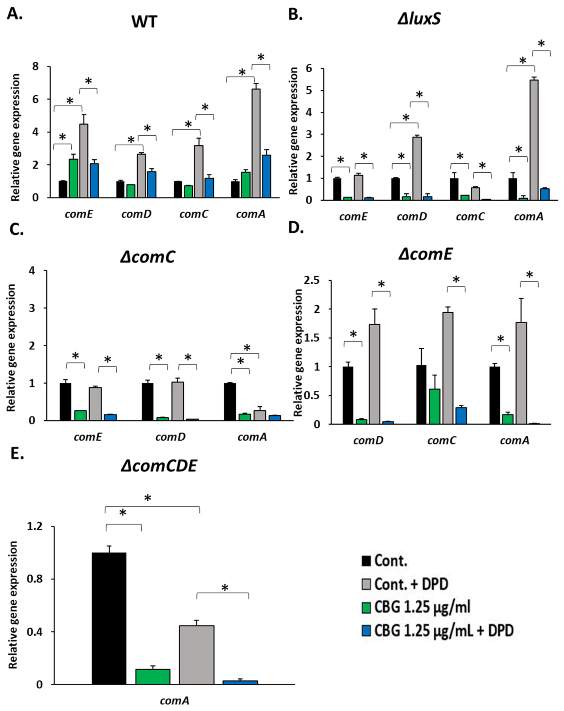 Biomedicines 11 00668 g006 Biomedicines 11 00668 g006