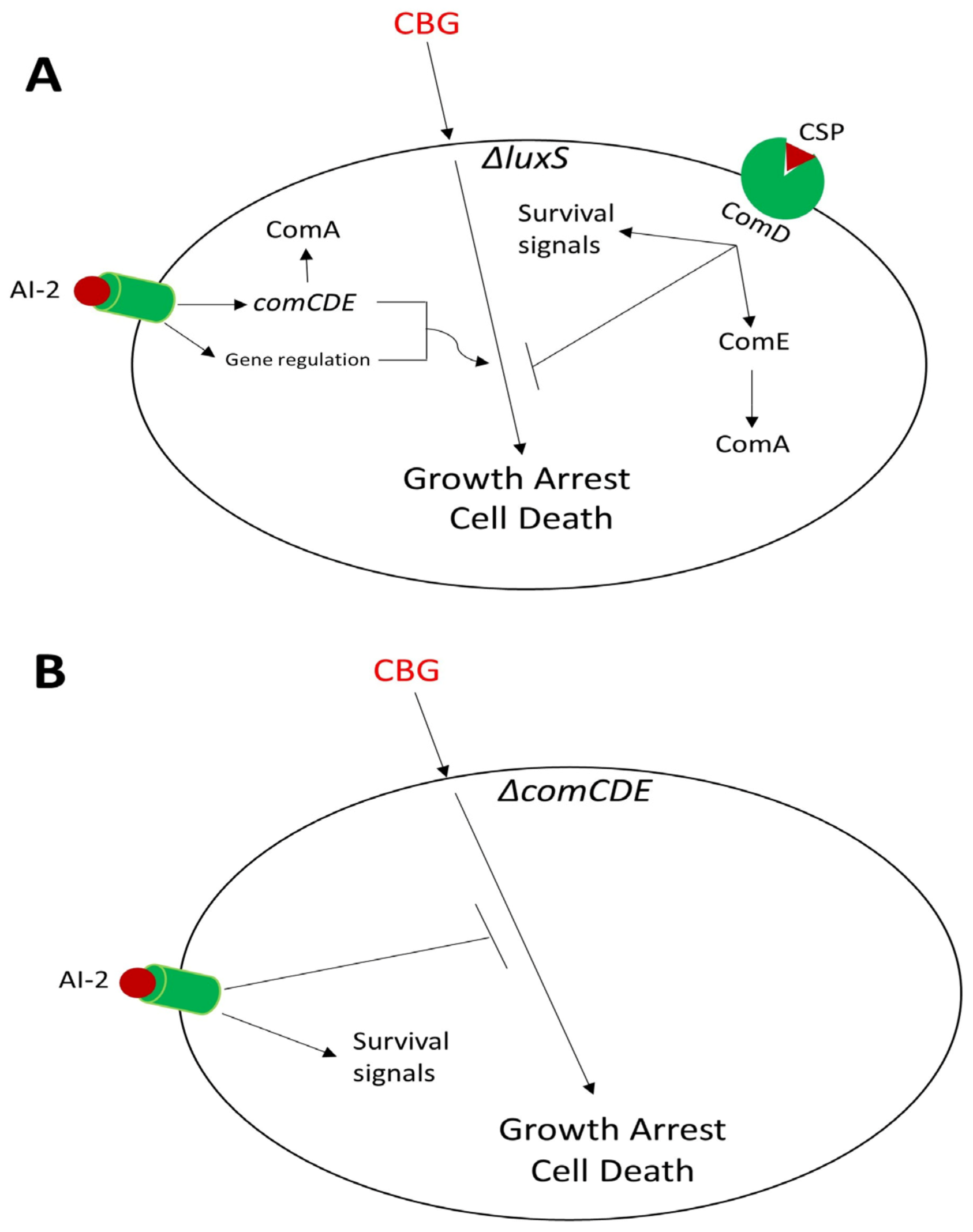 Biomedicines 11 00668 g012 Biomedicines 11 00668 g012